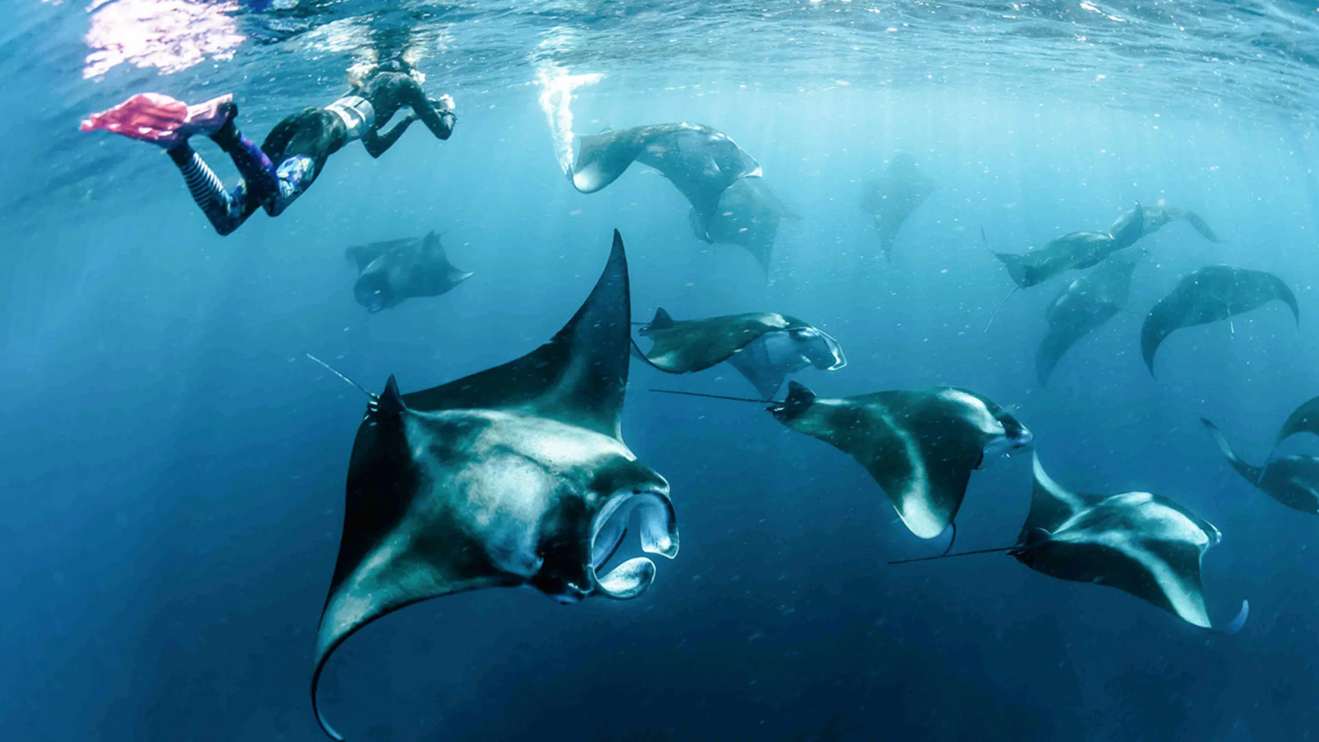 Things to Do in Maldives