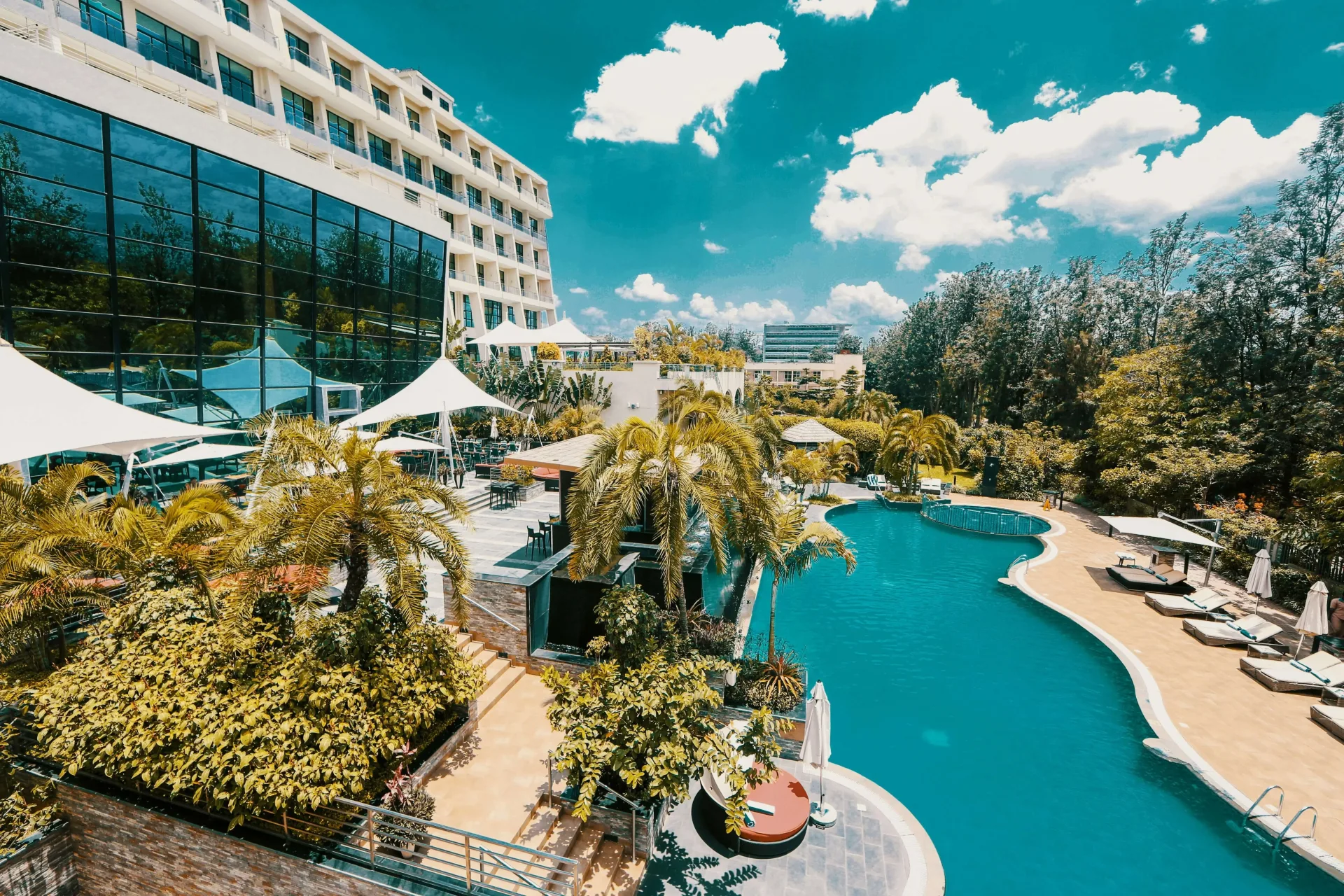 Grand Rwanda: The Ultimate Primate & Wildlife Safari