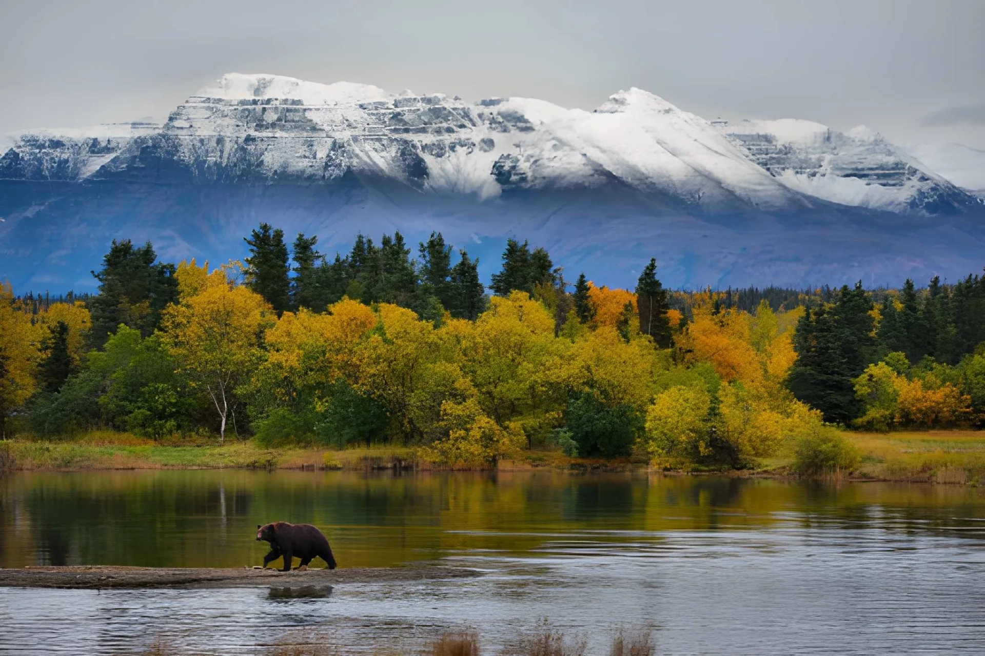 Luxury Alaska: Wilderness Lodges, Bears & Glaciers