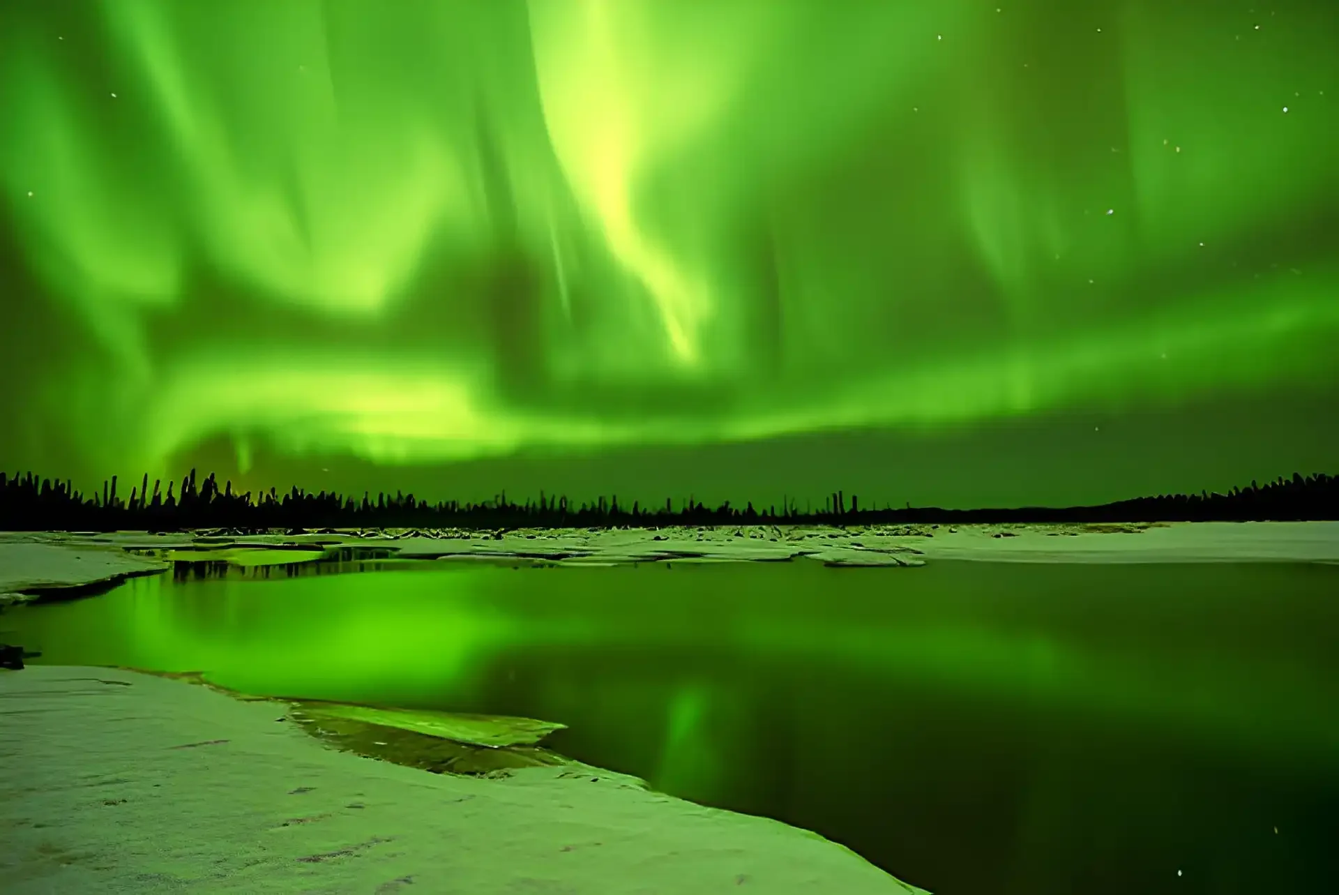 Alaska Northern Lights & Winter Wilderness