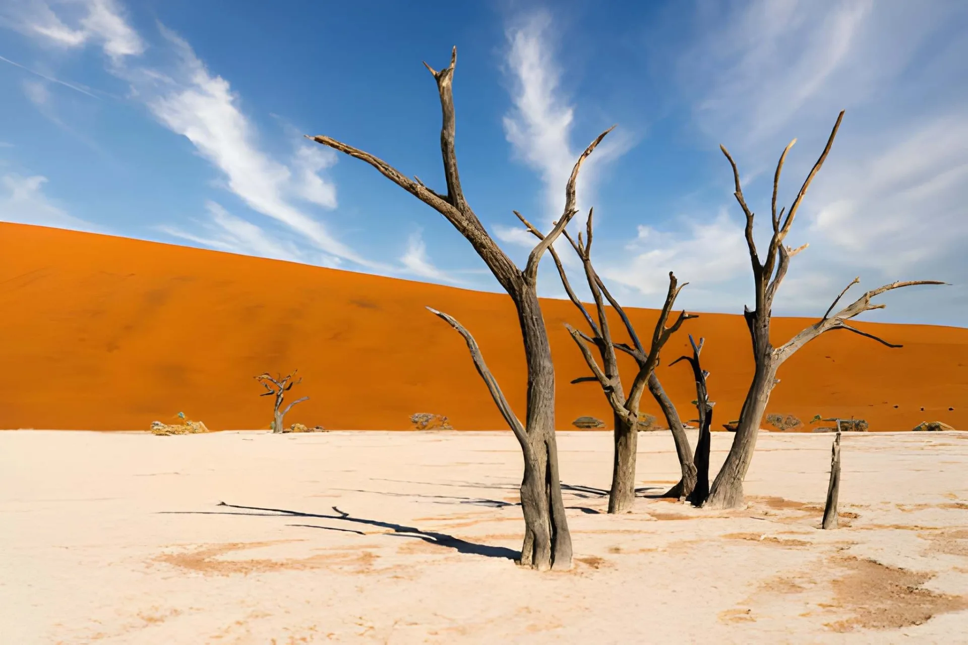 Namibia Luxury Fly-In Flagship: Dunes, Coast & Wilderness