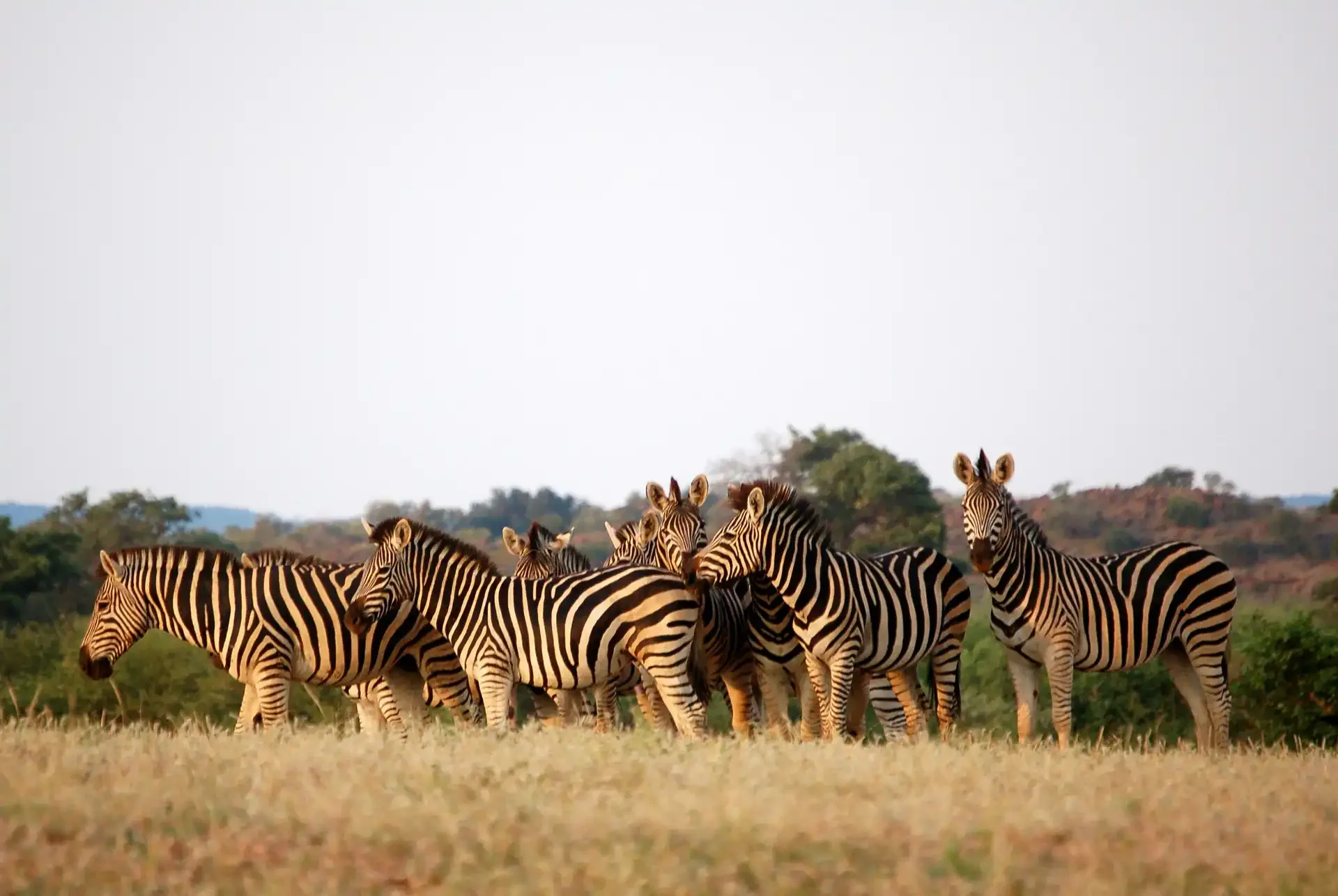 Botswana Family Safari: Delta, Khwai & Chobe Adventures