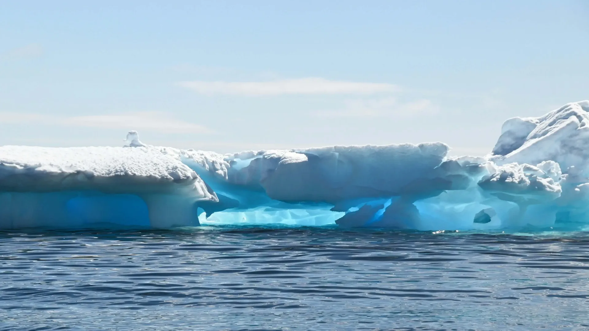 Family Antarctic Adventure: Penguins & Polar Fun