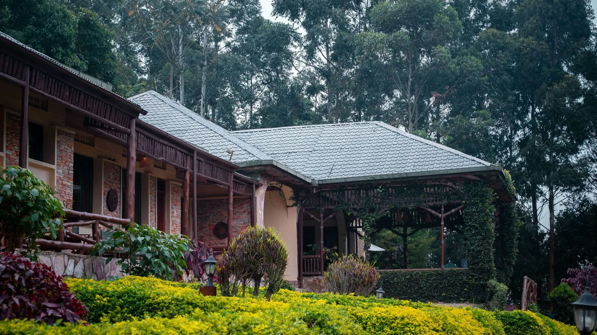 Gorilla Trekking Short Break: Bwindi & Lake Mburo