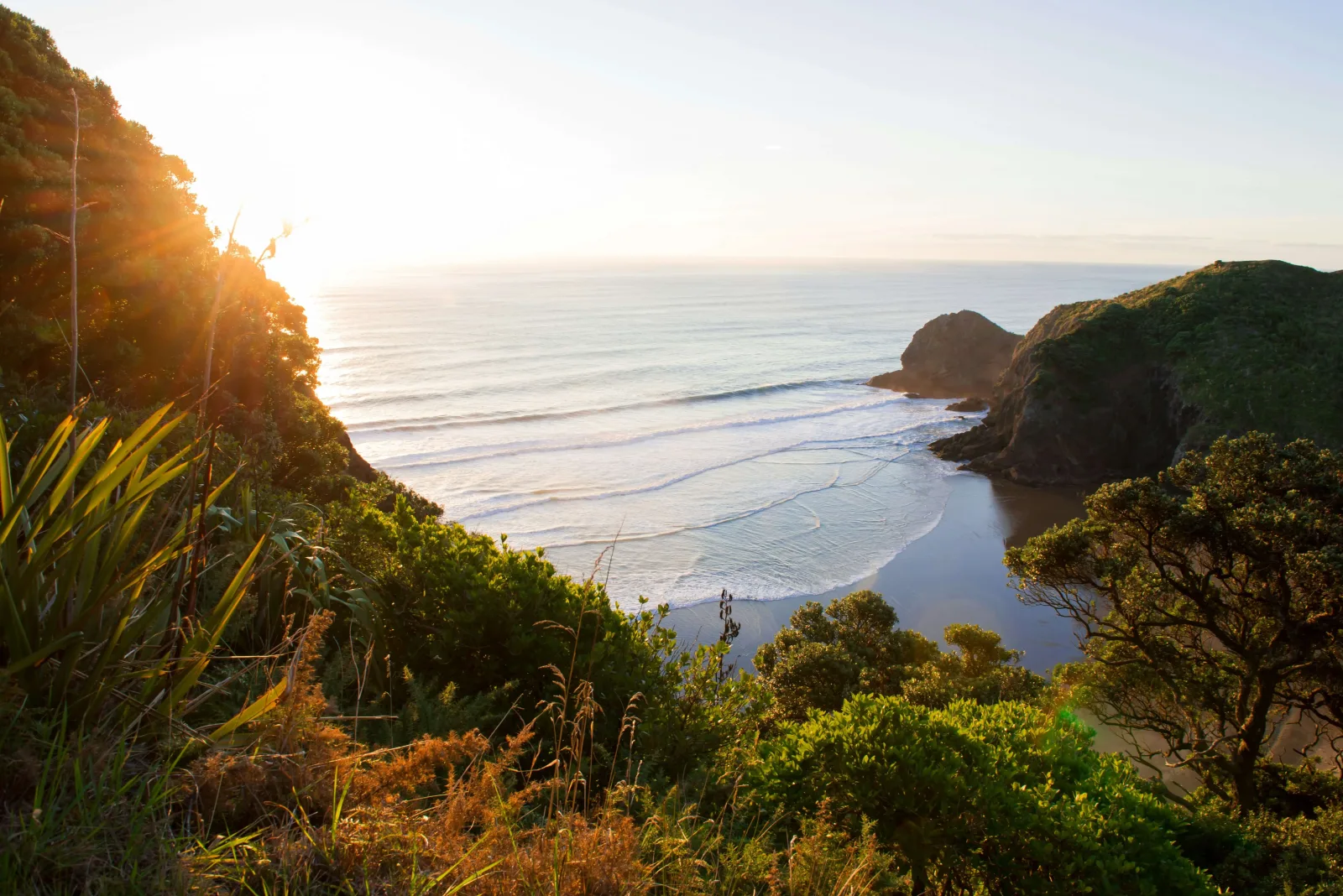 North Island Discovery