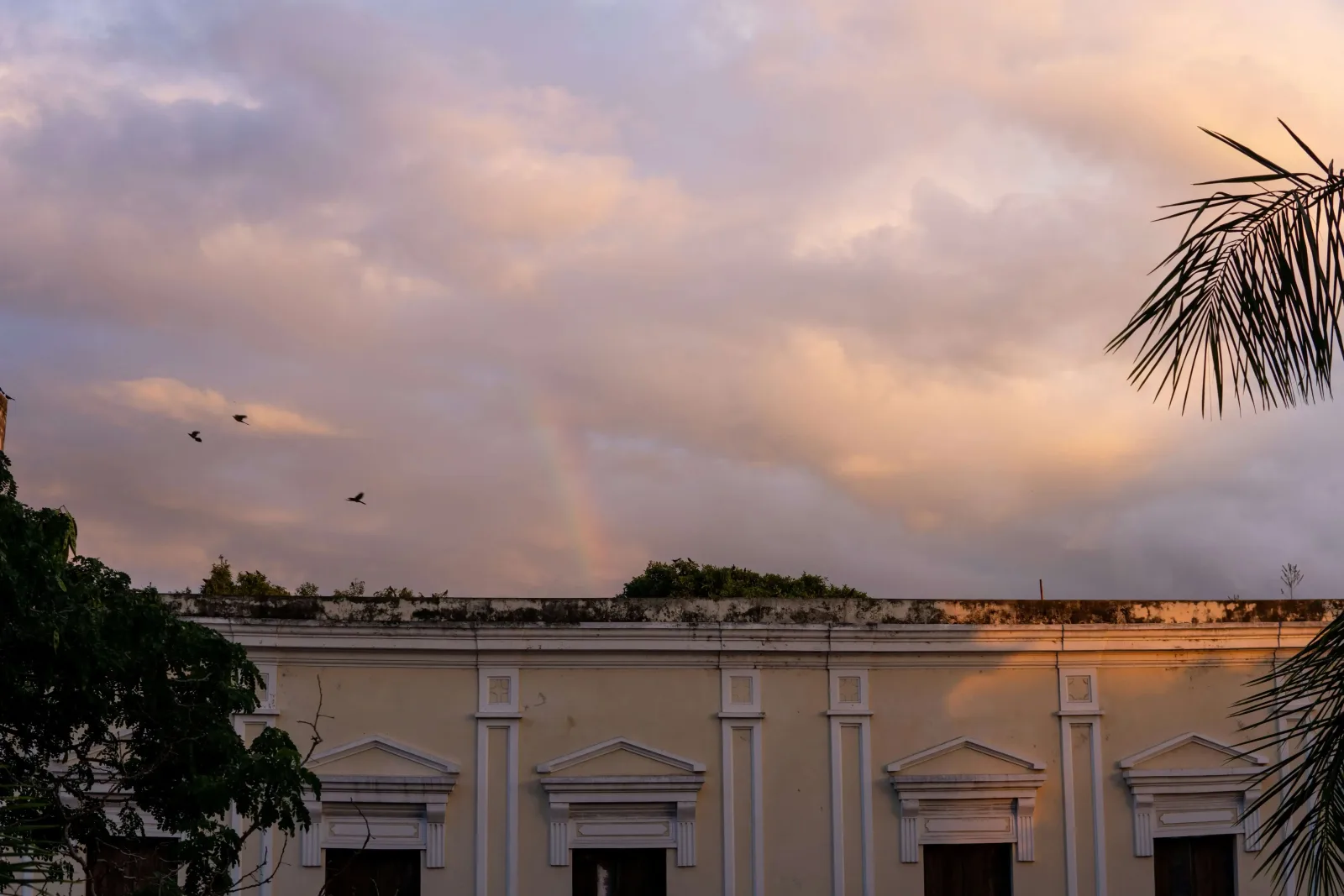 Yucatan & the Maya: Chichen Itza, Uxmal & Merida