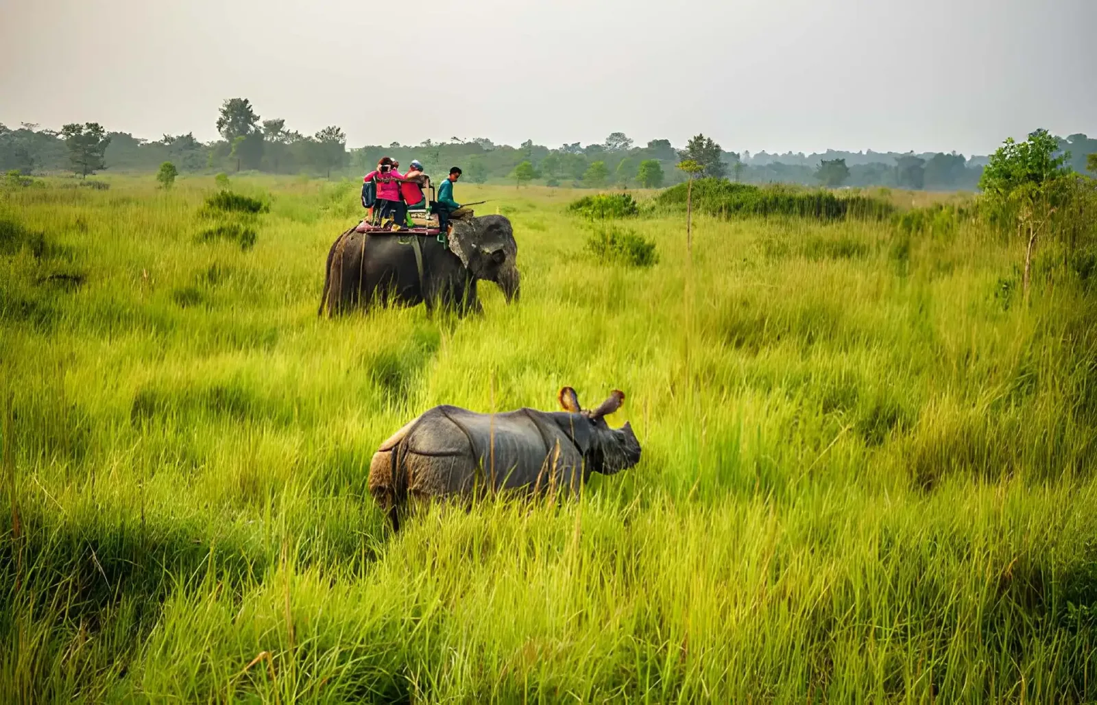 Nepal Family Adventure