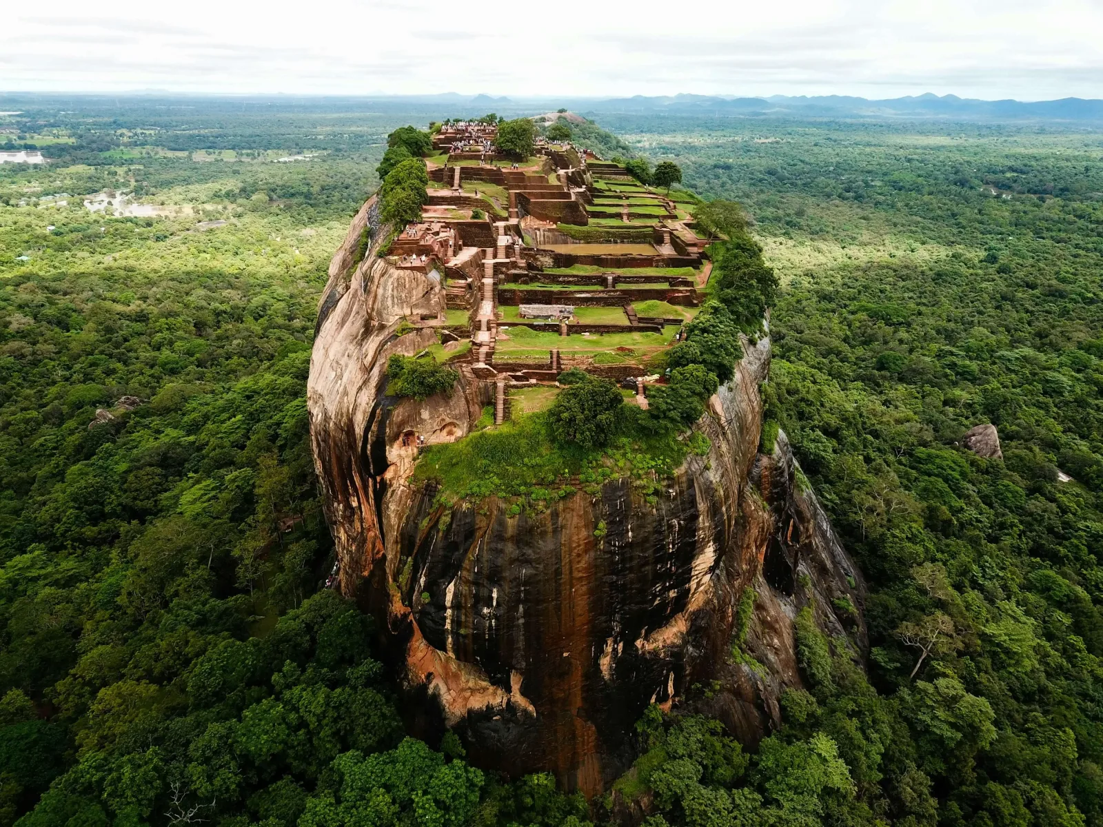 Sri Lanka Highlights: Culture, Tea & Beach