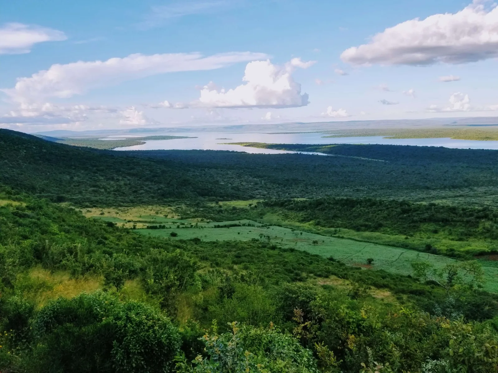 Grand Rwanda: The Ultimate Primate & Wildlife Safari