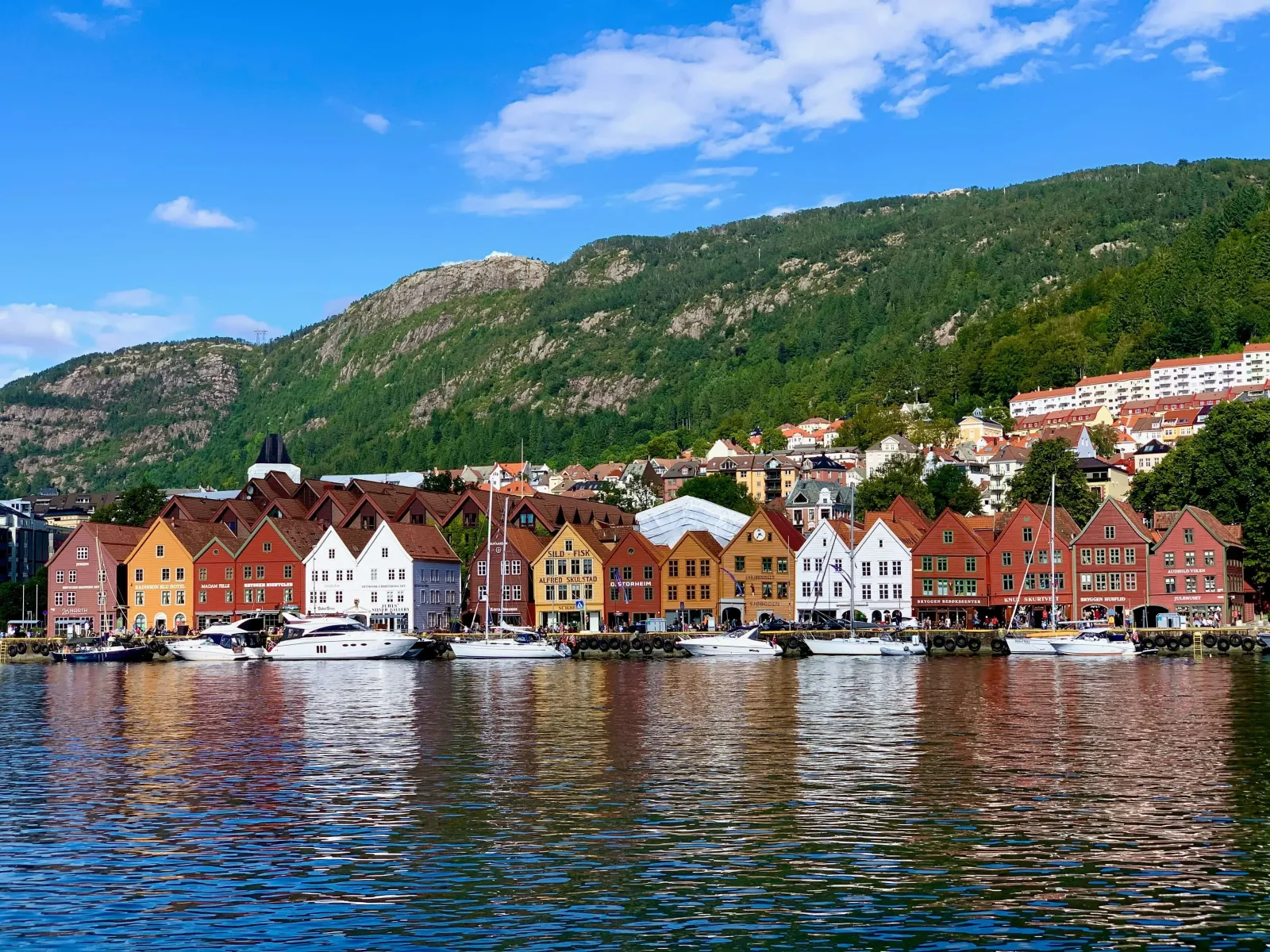 Fjord Romance: A Norway Honeymoon