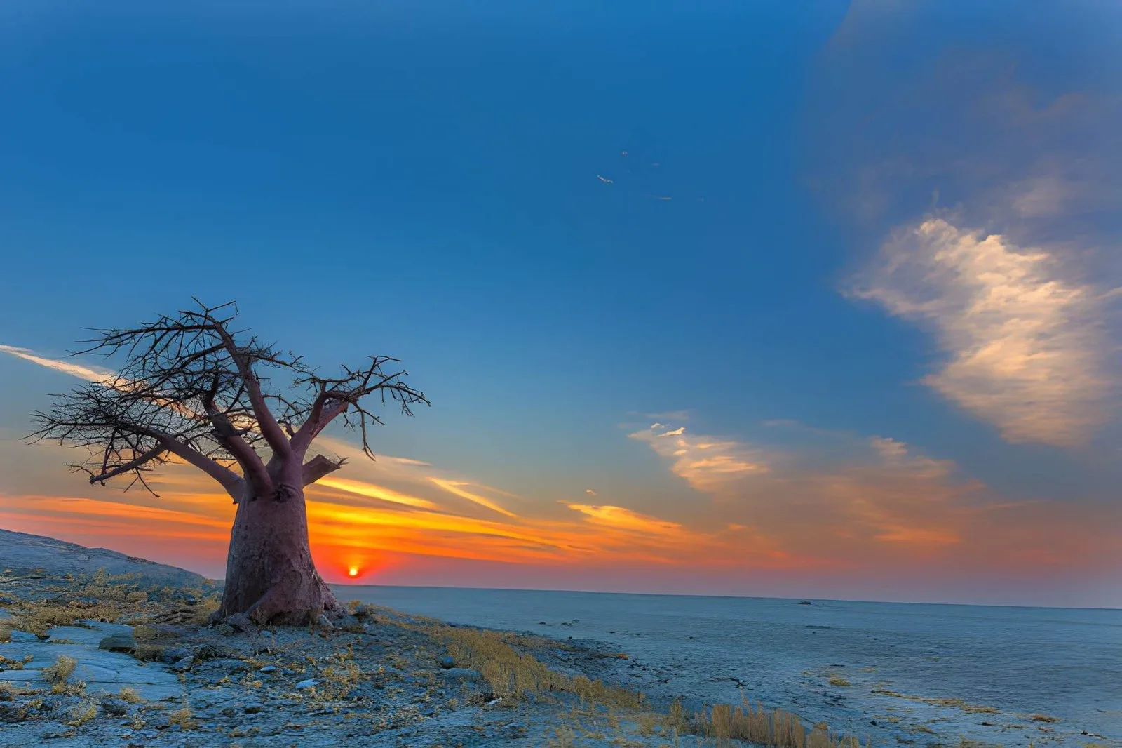 Grand Botswana Safari: Kalahari, Delta, Savuti & Chobe