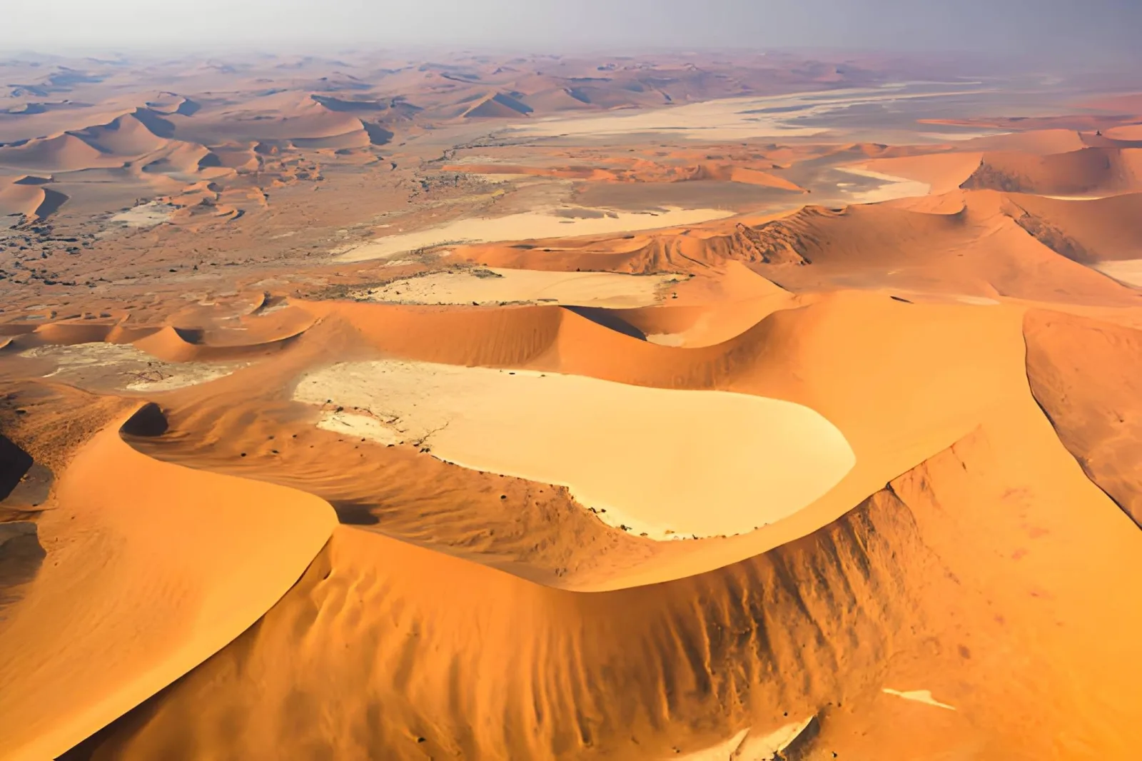 Sossusvlei & Etosha Classic: Namibia's Great Highlights