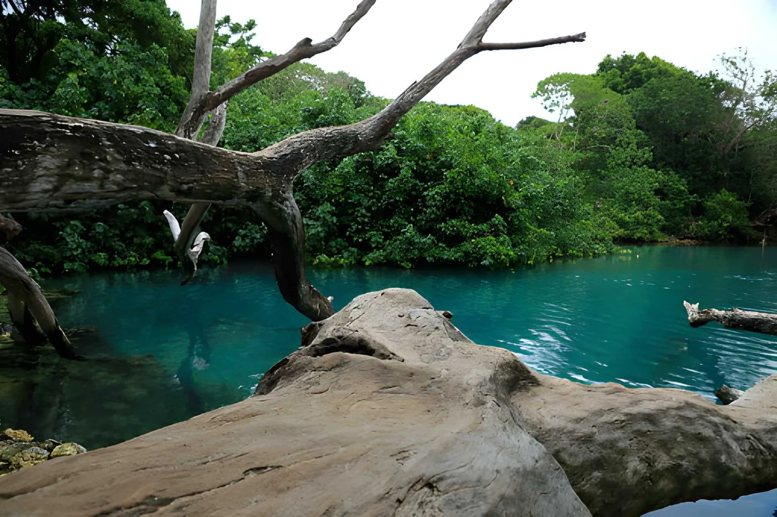 Espiritu Santo: Beaches, Blue Holes & Wrecks