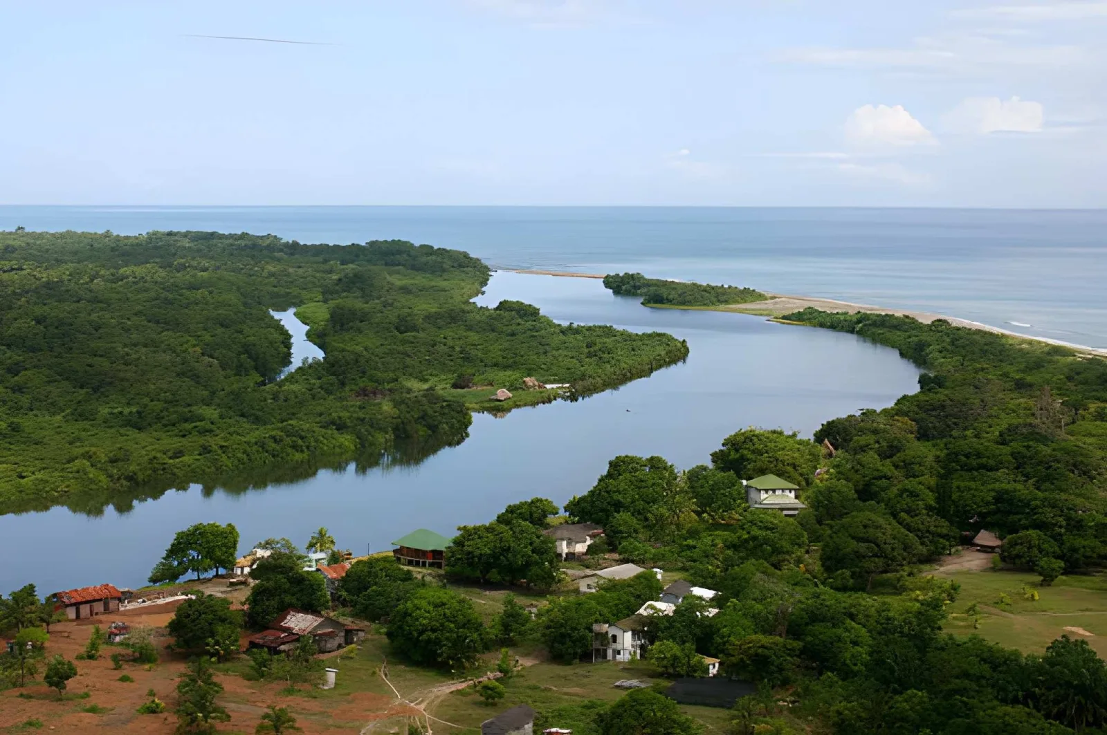 Wild Honduras: Whale Sharks, Cloud Forests & Rainforest Wildlife