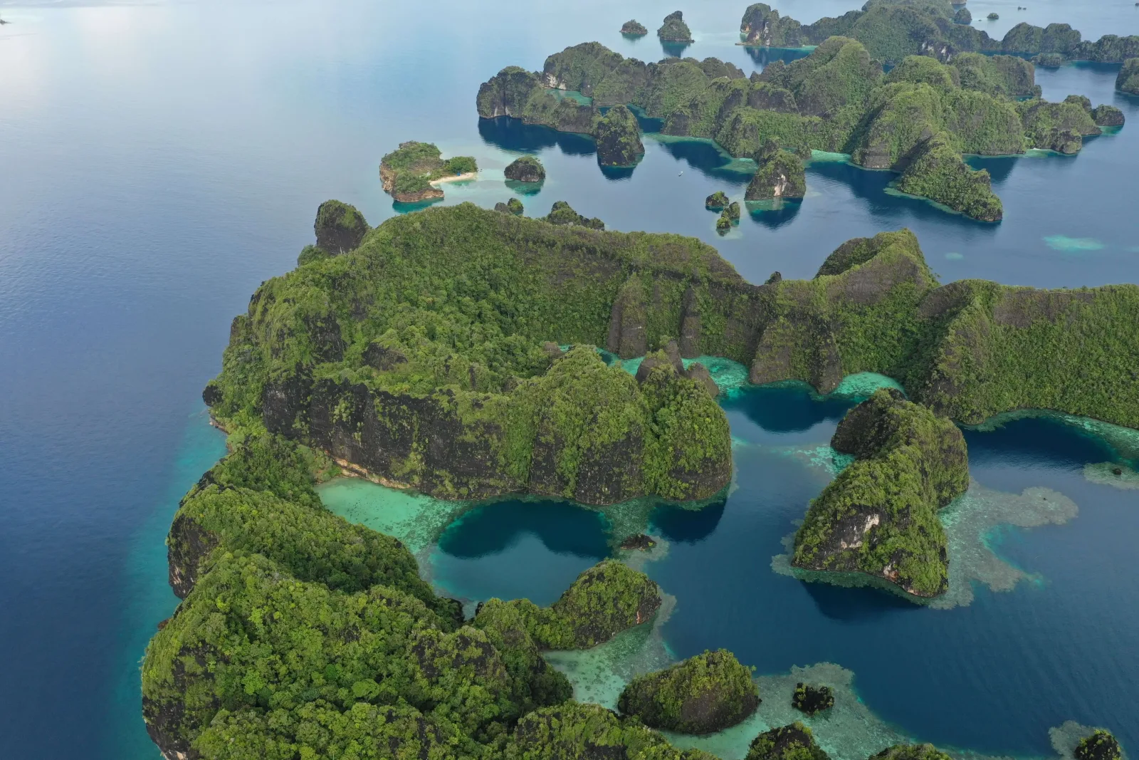 Palau Diving: Blue Corner & the Coral Triangle