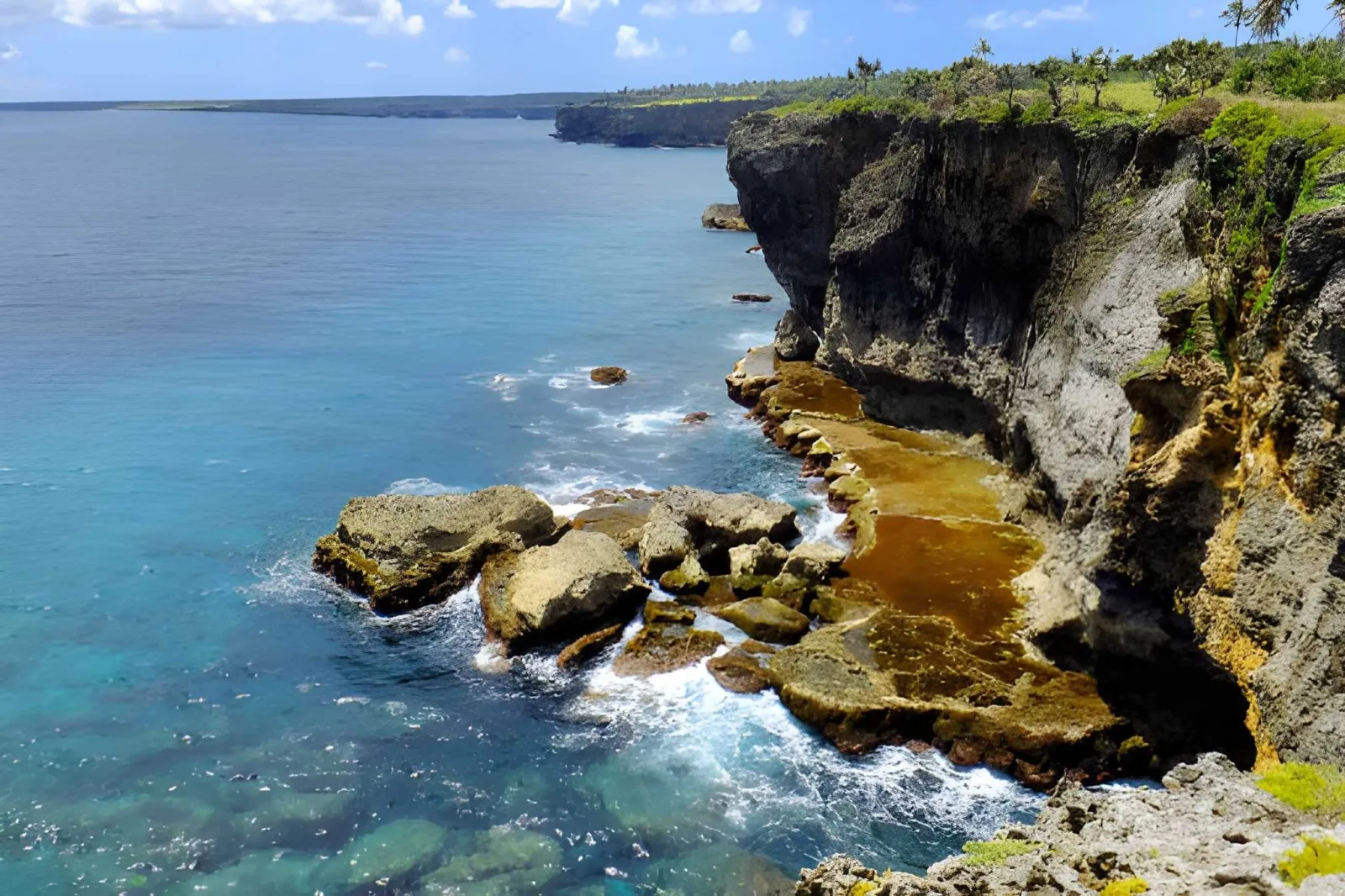 Tonga Diving & Snorkelling: Vava'u's Reefs, Walls & Caves