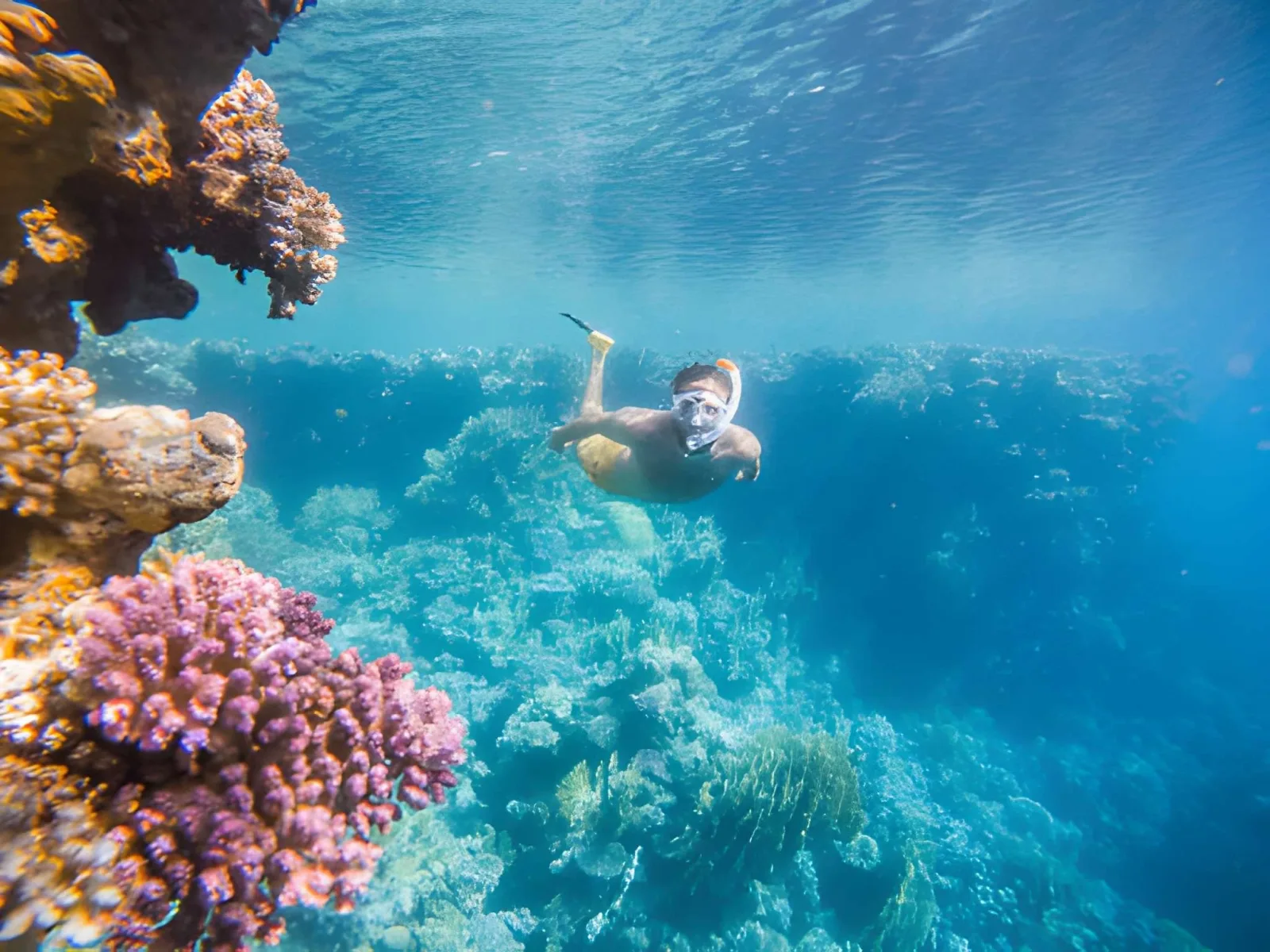 Maldives Diving & Snorkelling: Reefs, Mantas & Sharks