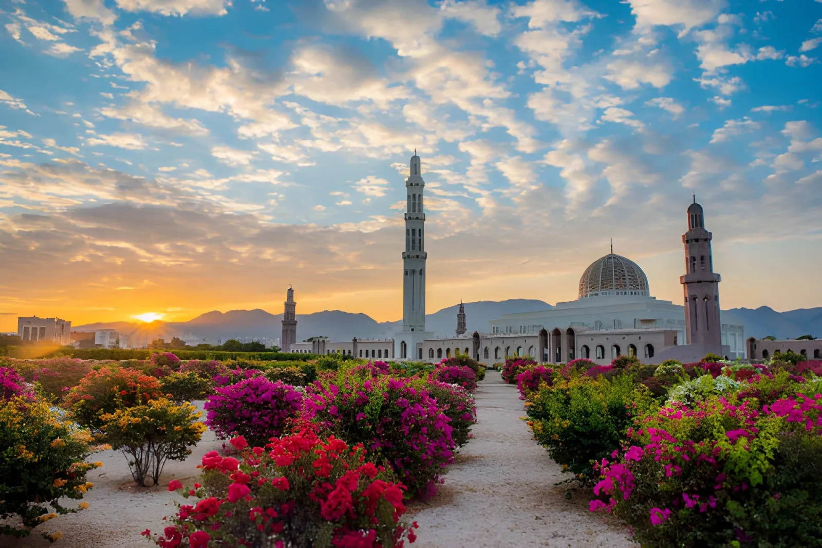 Highlights of Oman: Muscat, Nizwa & the Wahiba Sands