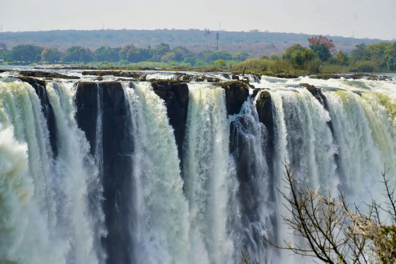 Hwange & Mana Pools: A Great Zimbabwe Safari