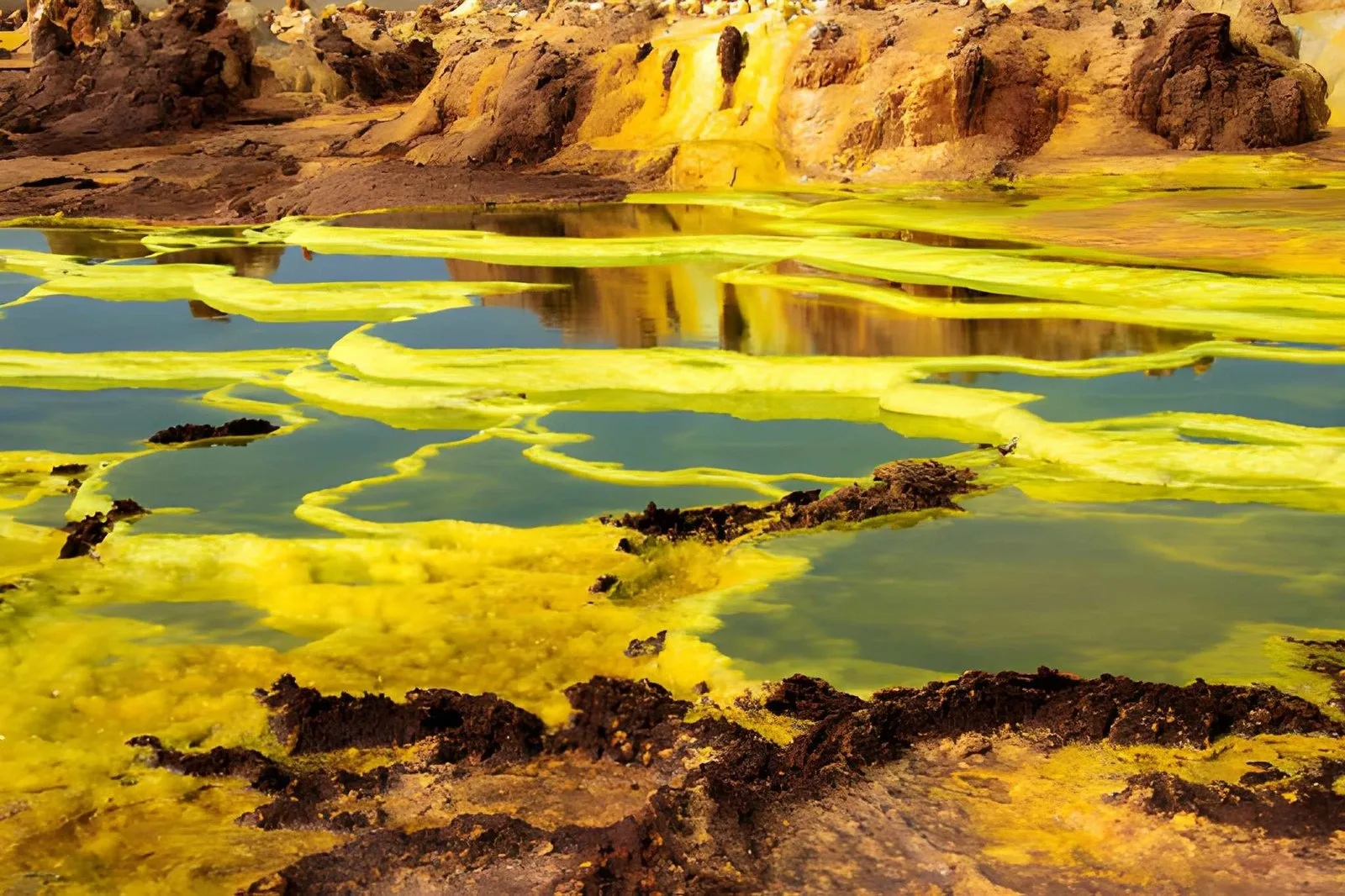 Danakil Depression Expedition: Fire & Salt