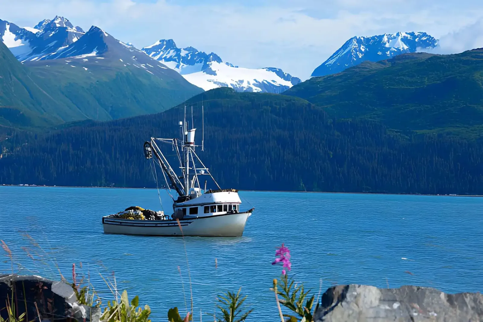 Alaska Bears & Wildlife Safari