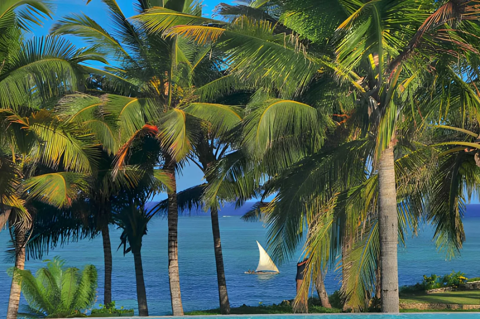 Quirimbas & Ibo Island: Swahili-Portuguese Heritage & Remote Isles