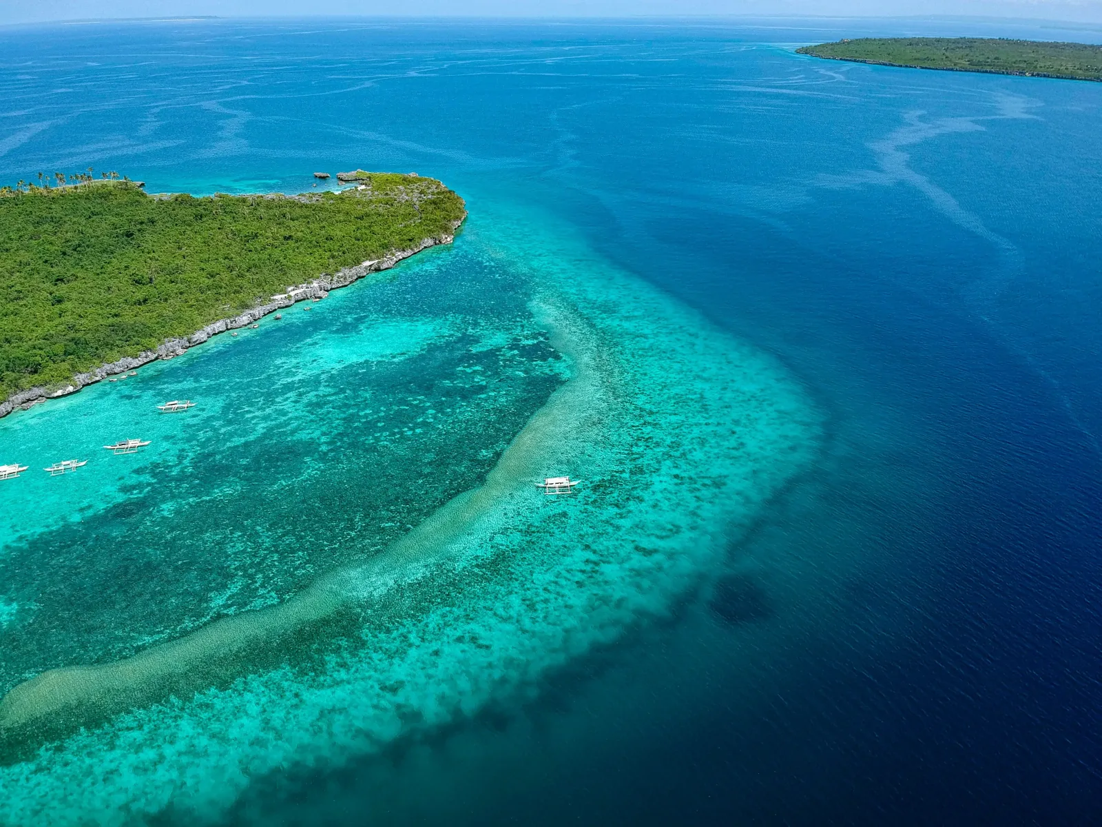 Cebu & Bohol Adventure