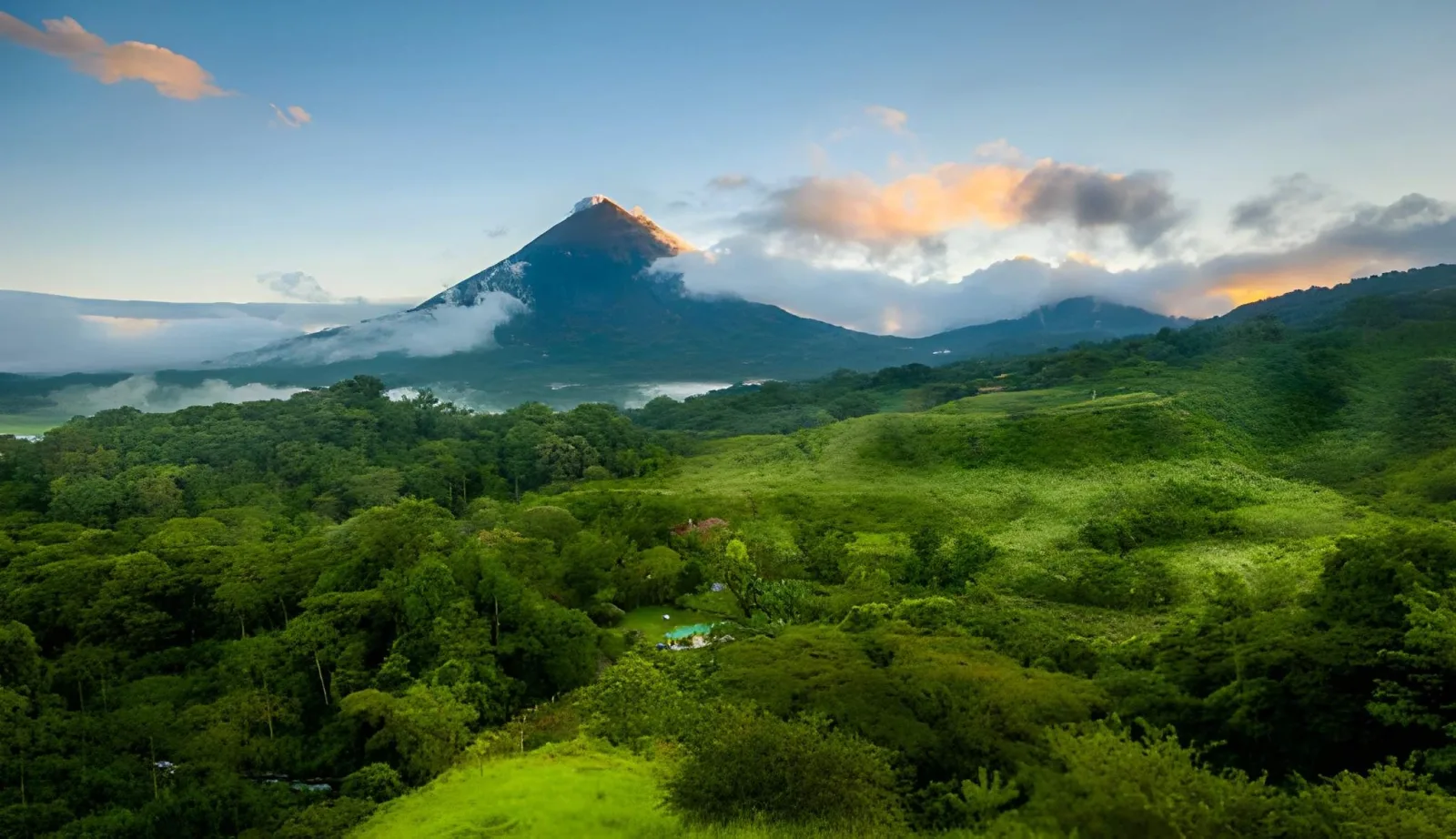 Costa Rica Wildlife & Rainforest