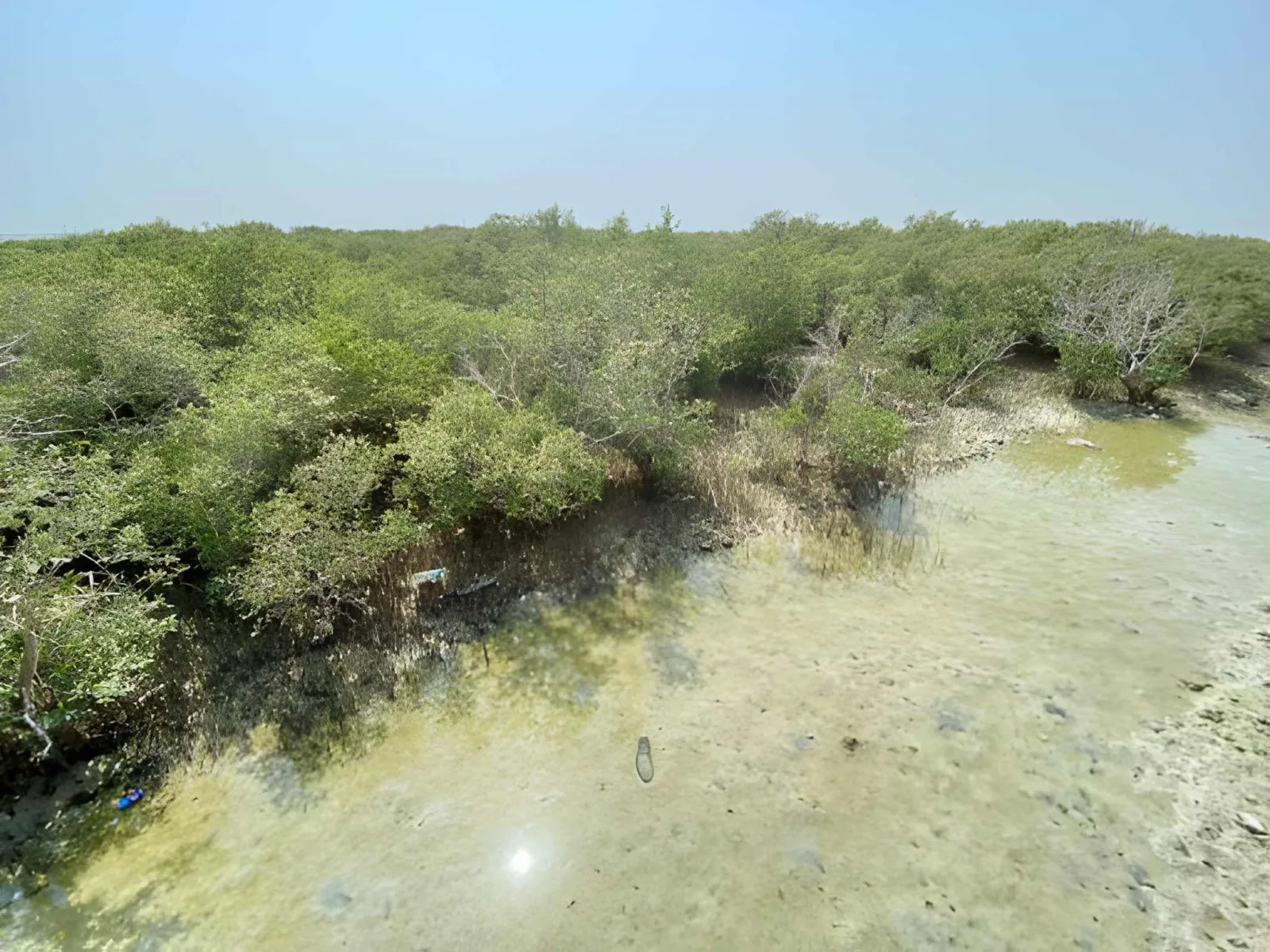 Qatar Beaches & Islands: Banana Island, Beaches & Mangroves