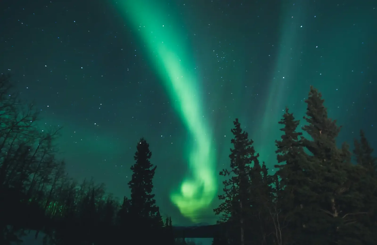 Yukon & Northern Lights