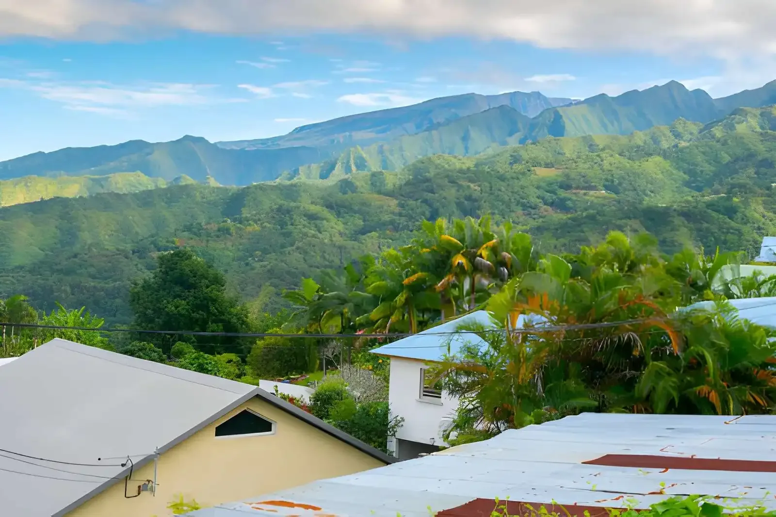 Reunion Creole Culture & Scenic Journey