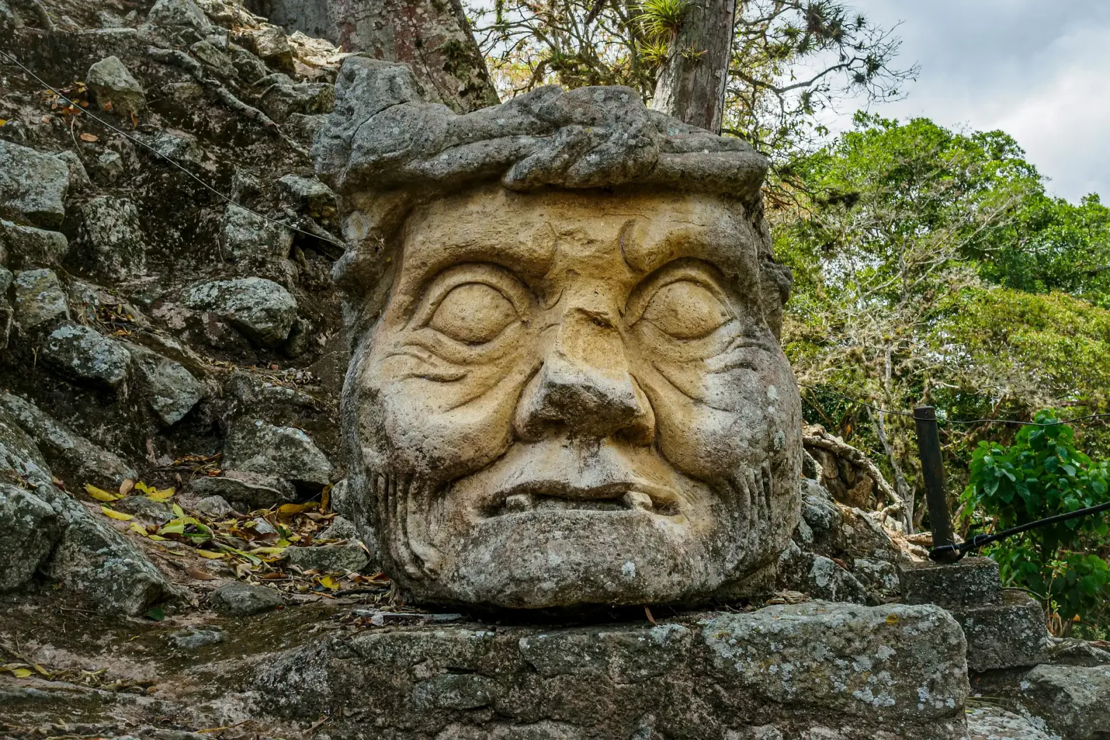 Luxury Honduras: Copan, Cloud Forest, Rainforest & Roatan
