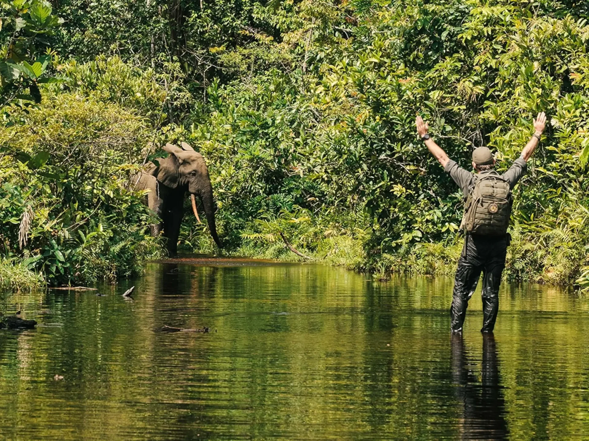 Grand Zimbabwe: The Complete Safari Journey
