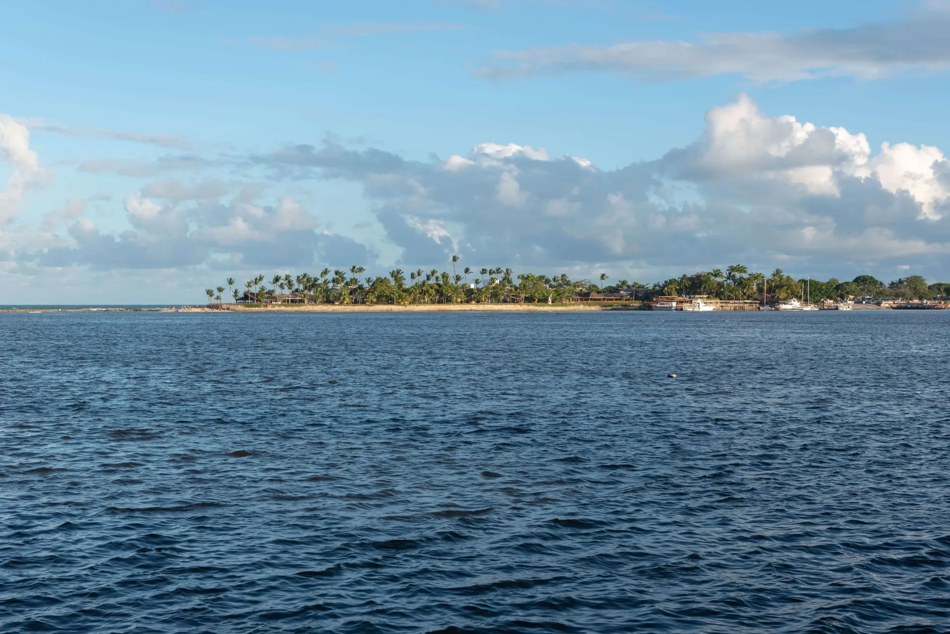 Samoa Diving & Snorkelling: Reefs, Walls & Turtles