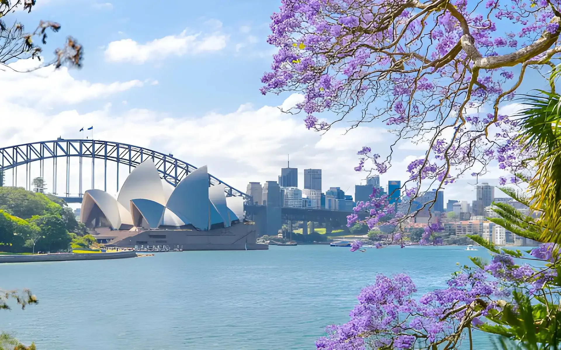 Sydney & Hunter Valley Wine Escape