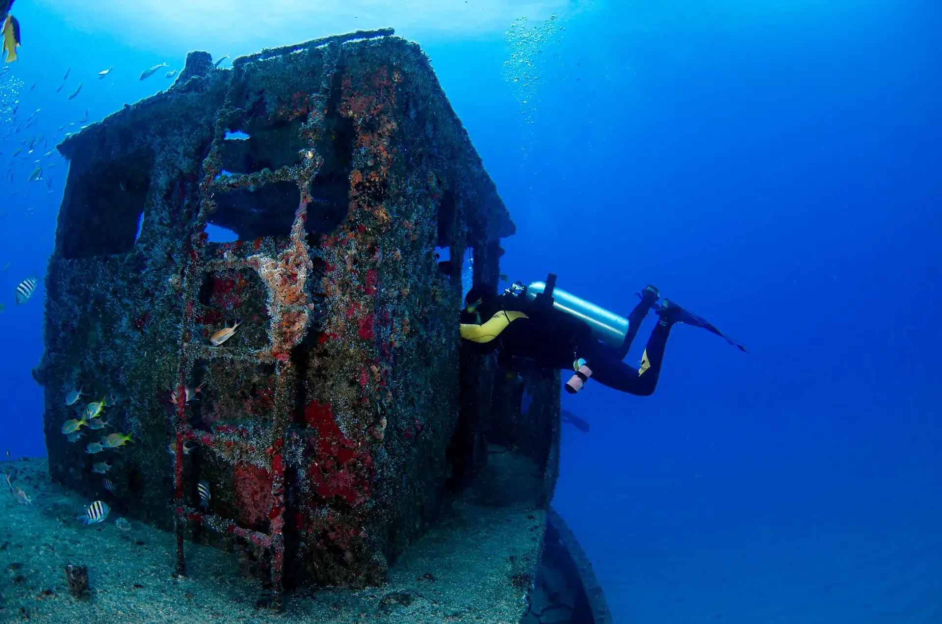 Vanuatu Diving: SS President Coolidge & Coral Reefs