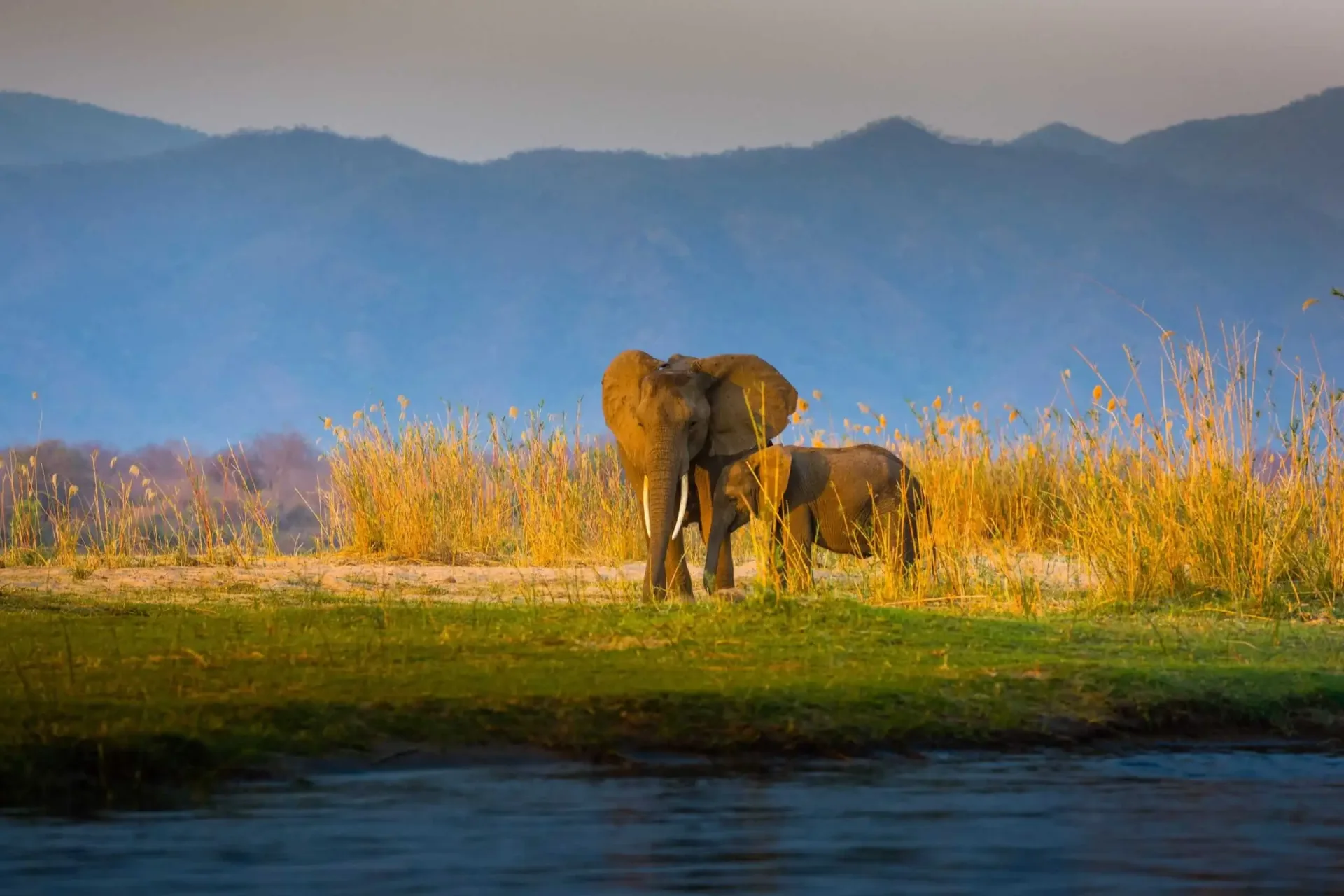 Zambia Honeymoon: Victoria Falls, River & Bush Luxury