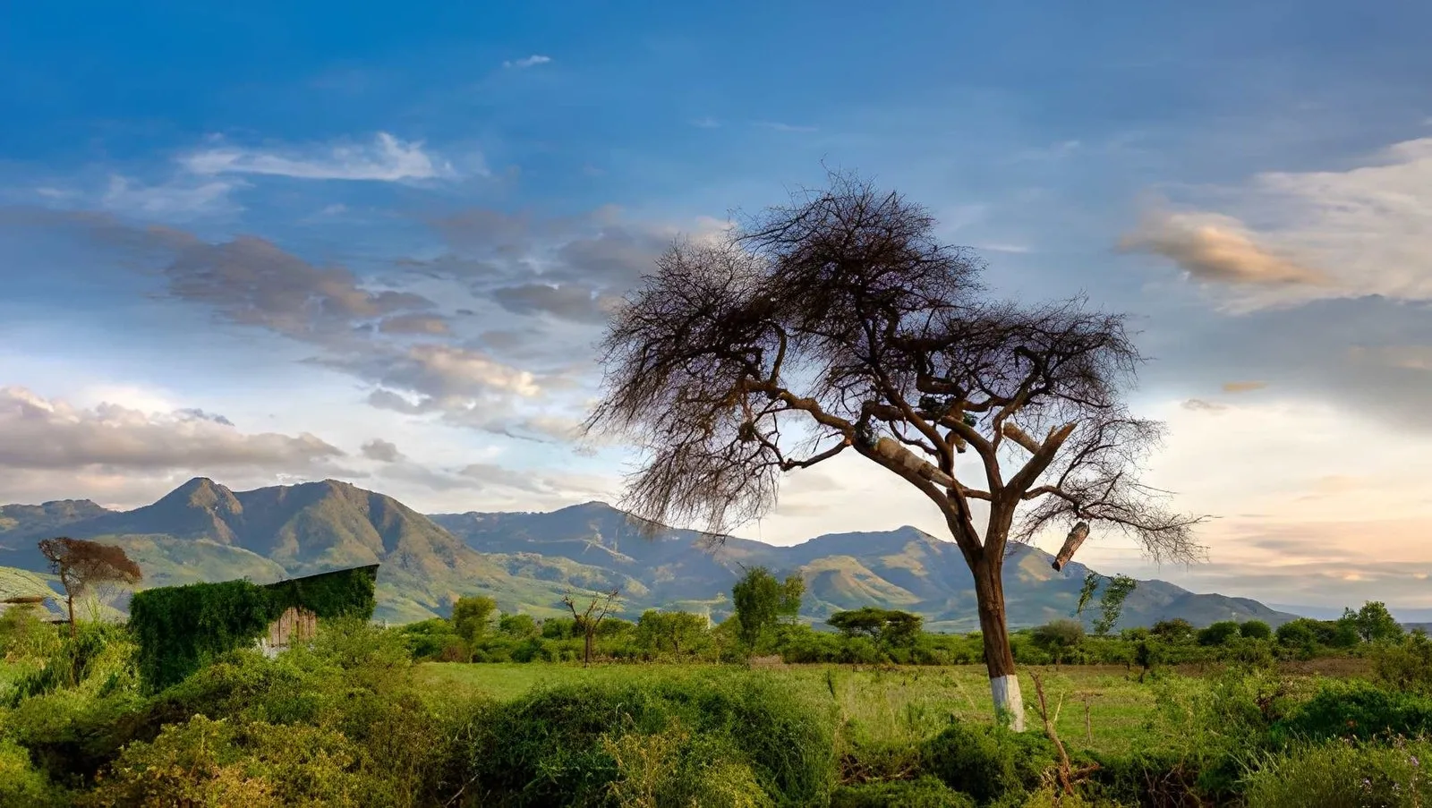 Omo Valley: Cultures of the South