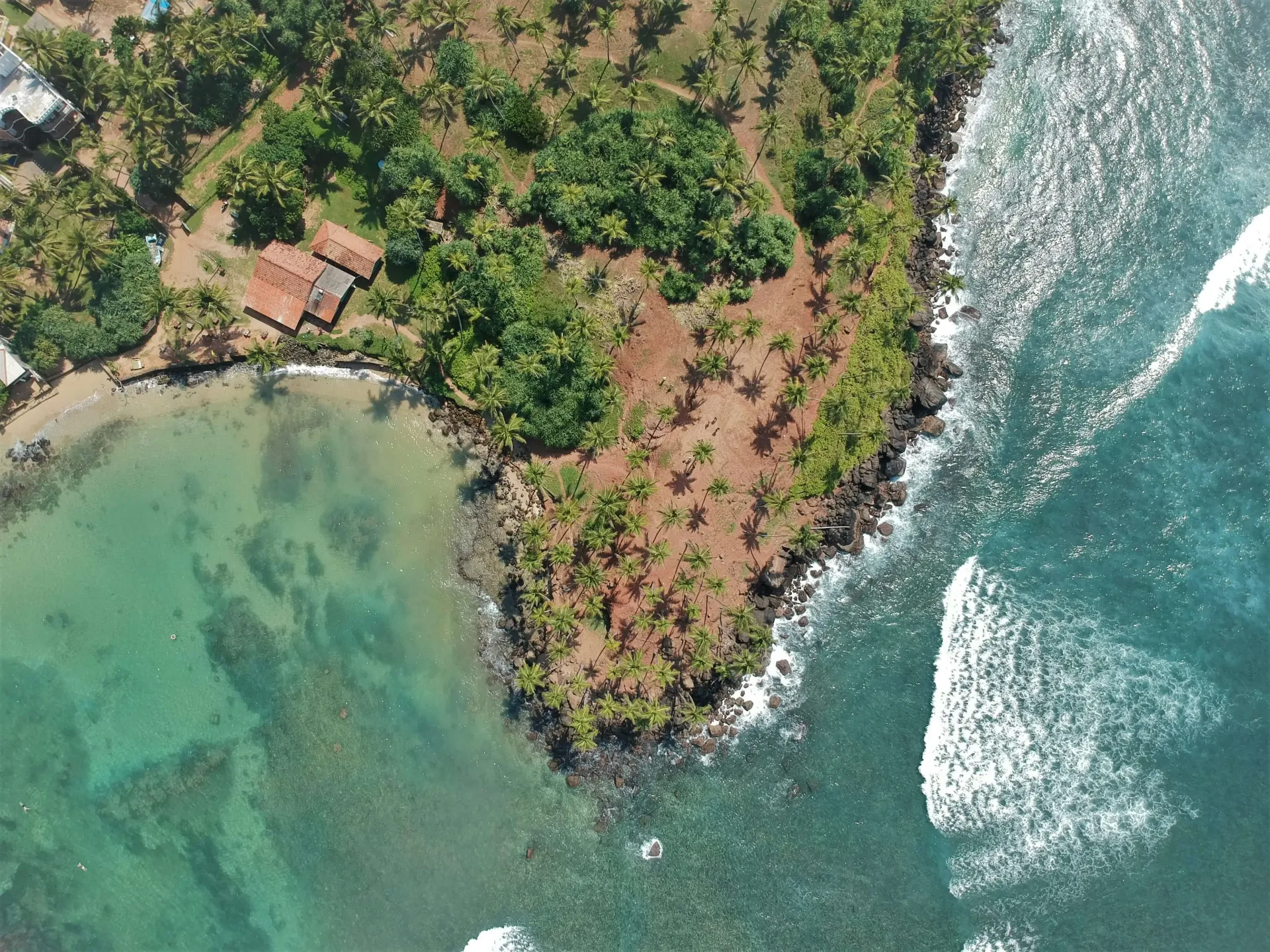 Southern Beaches & Whale Watching