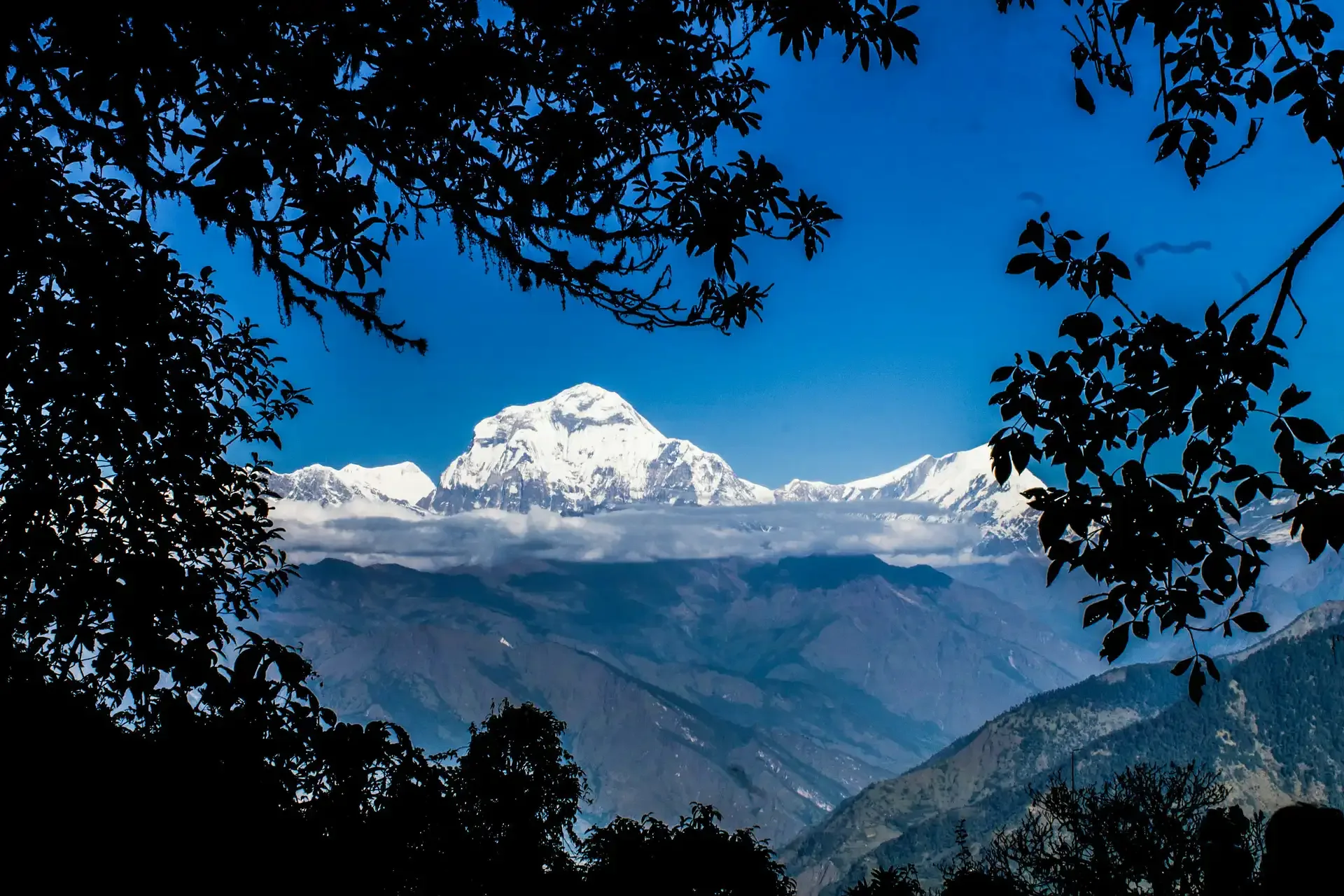 Grand Nepal: Culture, Mountains & Jungle