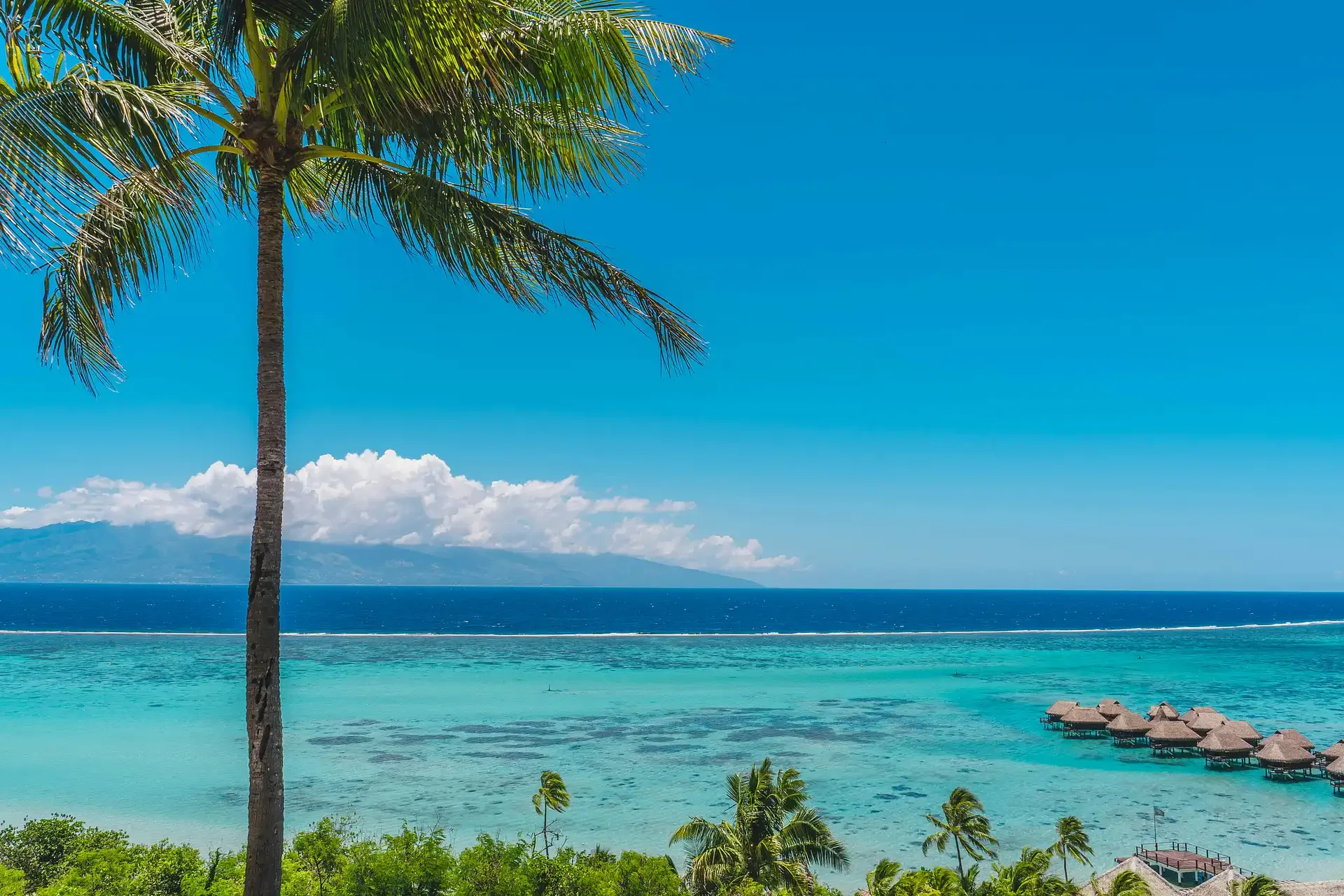 French Polynesia Culture & Nature: Tahiti & the Marquesas