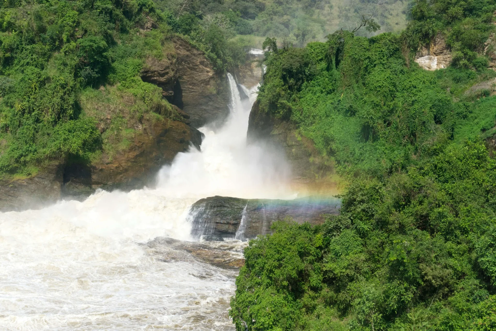 Big Game Safari: Queen Elizabeth & Murchison Falls