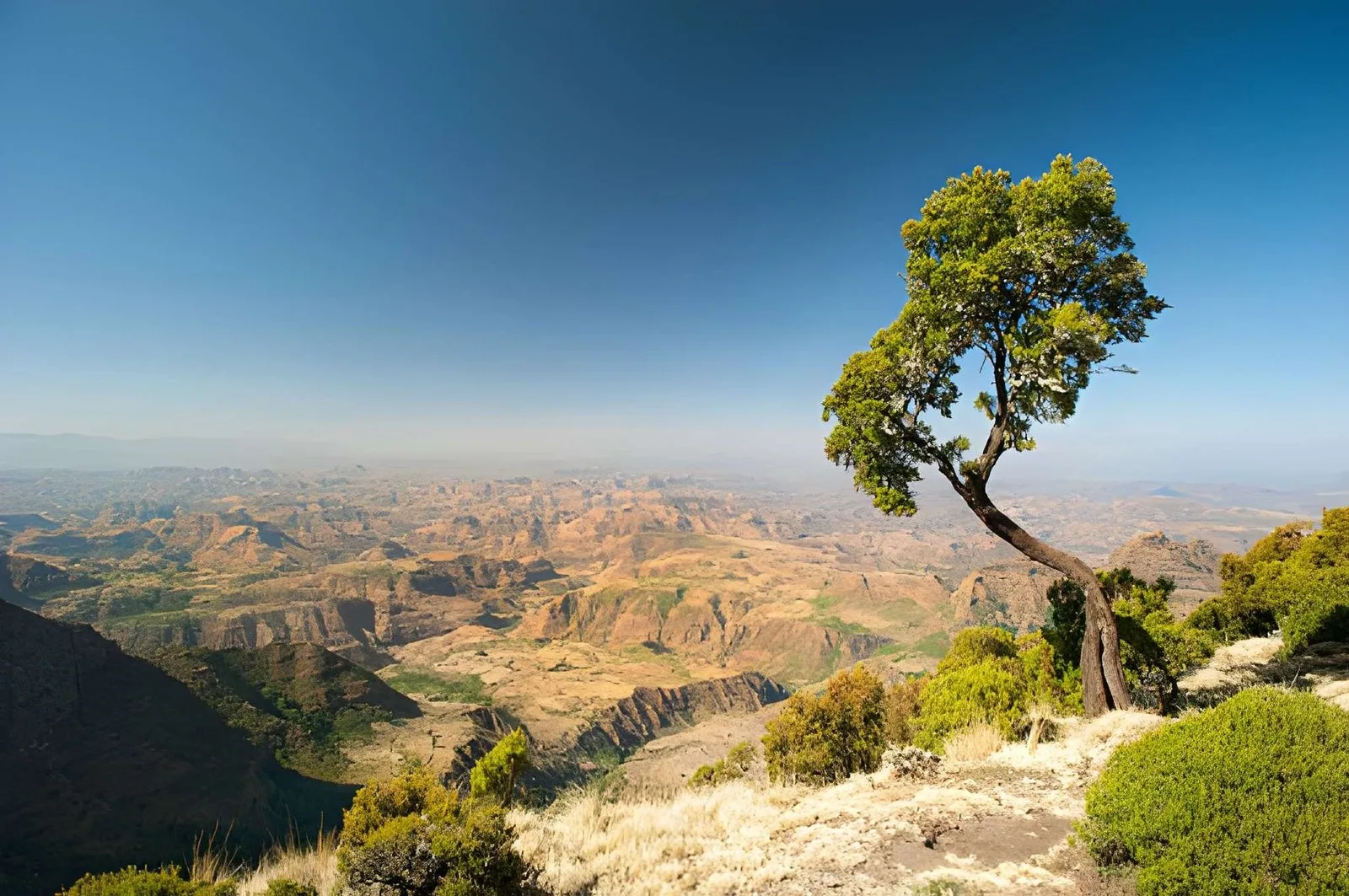 Romantic Ethiopia: A Highland Honeymoon