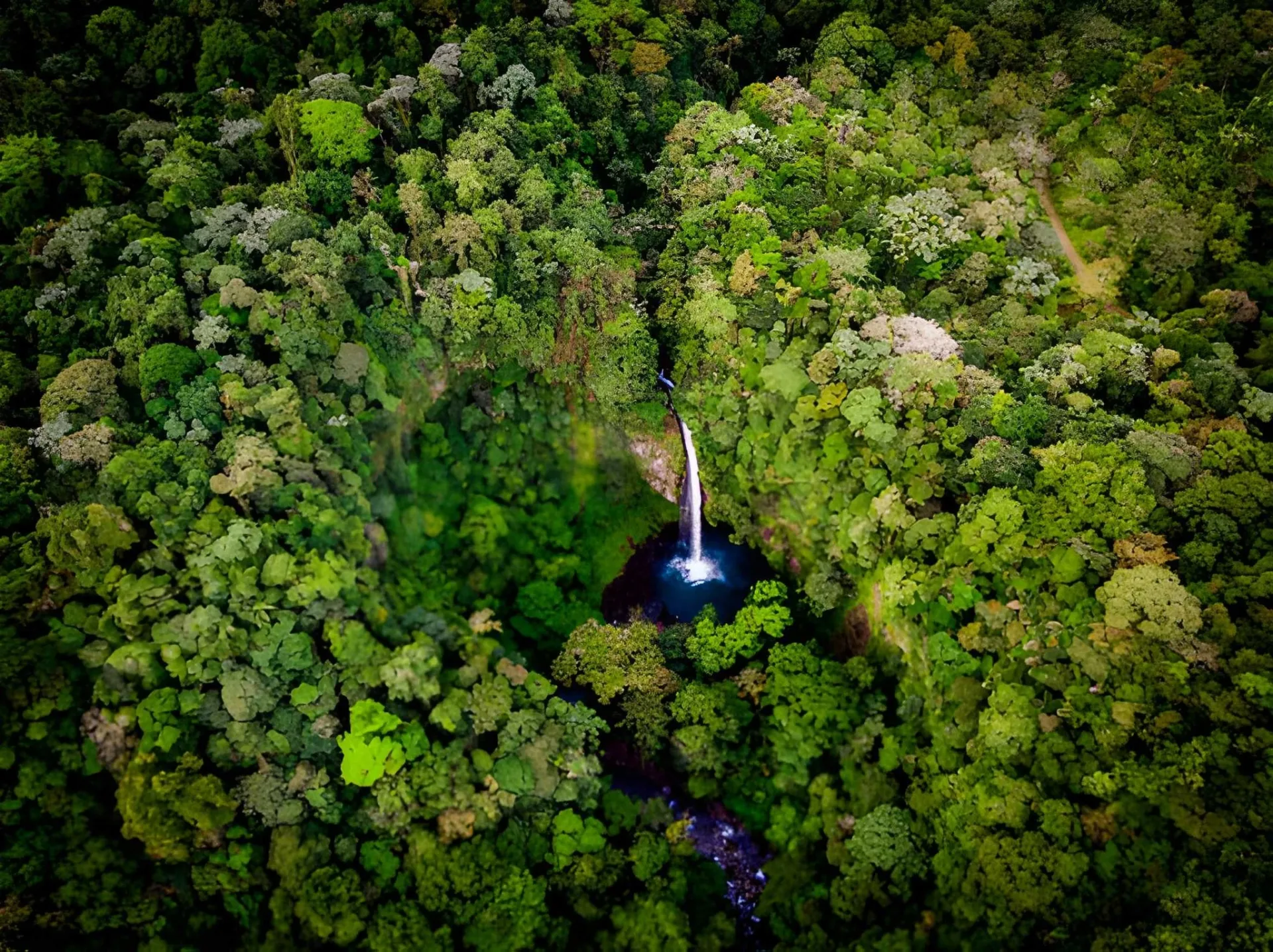 Costa Rica Escape: Arenal & Manuel Antonio