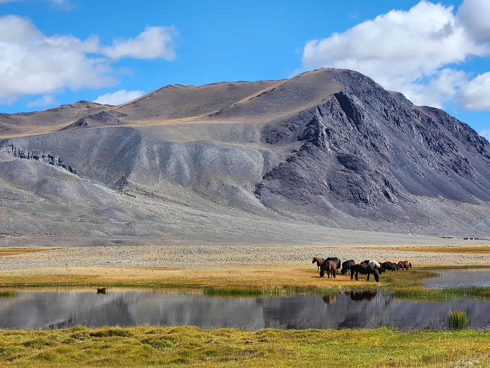 Nomadic Mongolia: Steppe, Gers & Horse Riding