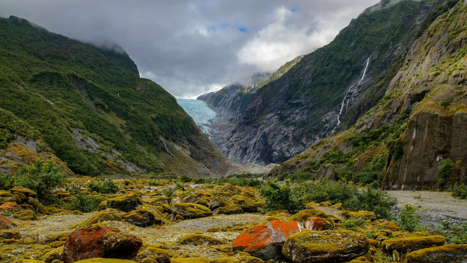 New Zealand Family Adventure