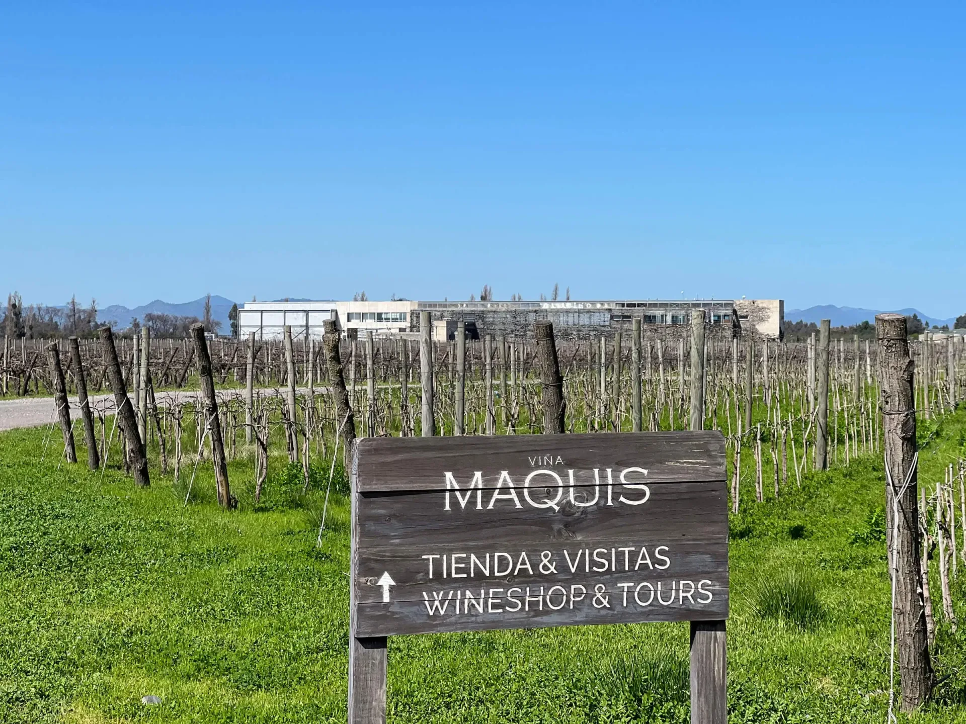 Chile Wine & Lake District