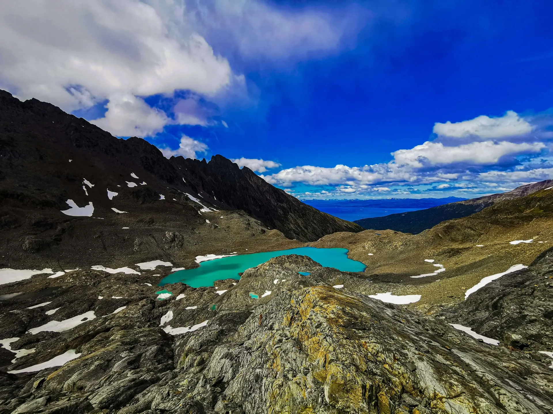 Antarctic Honeymoon: Icebergs, Whales & Champagne