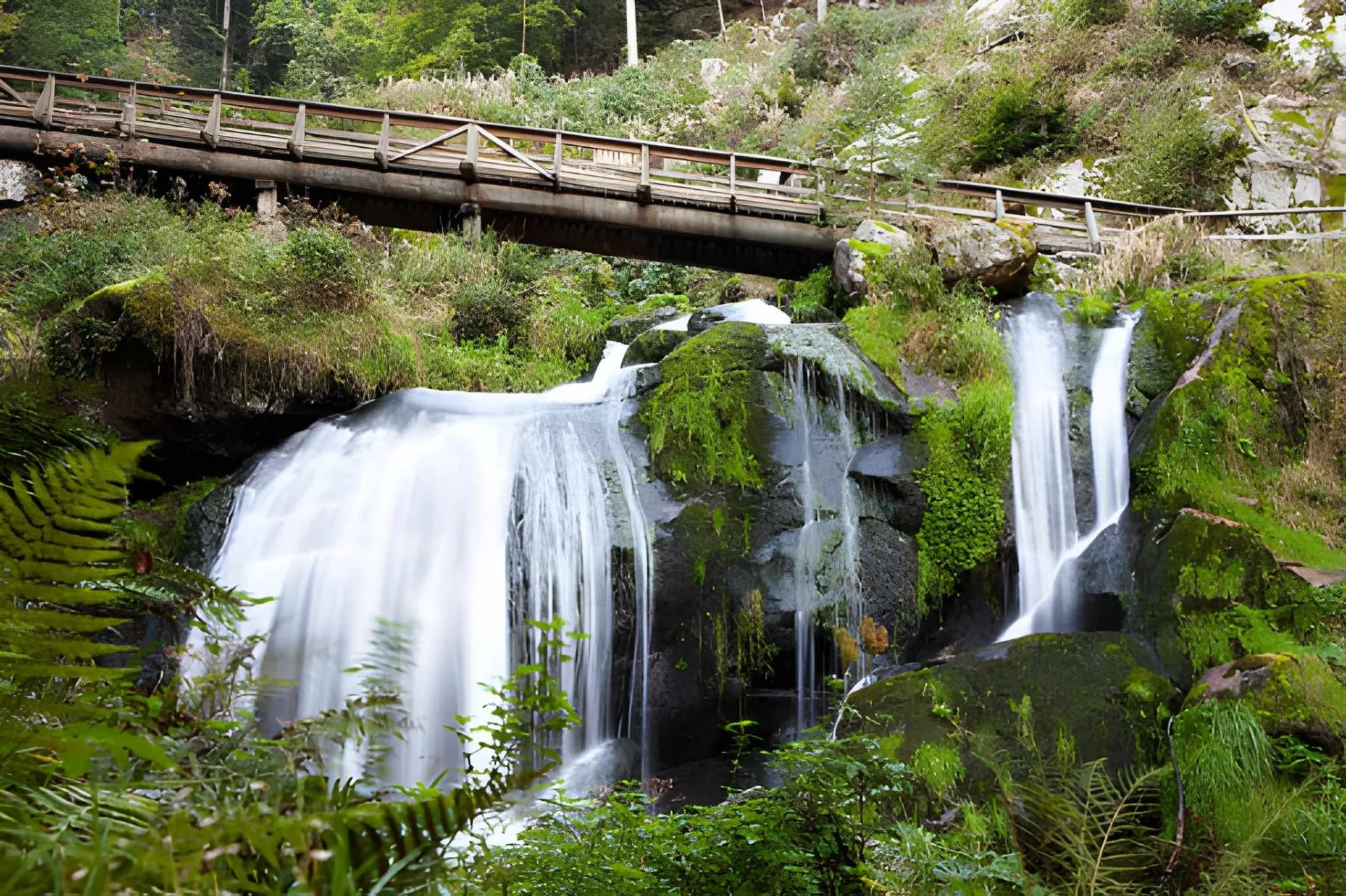 The Black Forest: Waterfalls, Cuckoo Clocks & Spa Towns